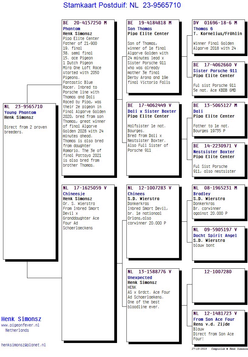 Pigeon pedigree image