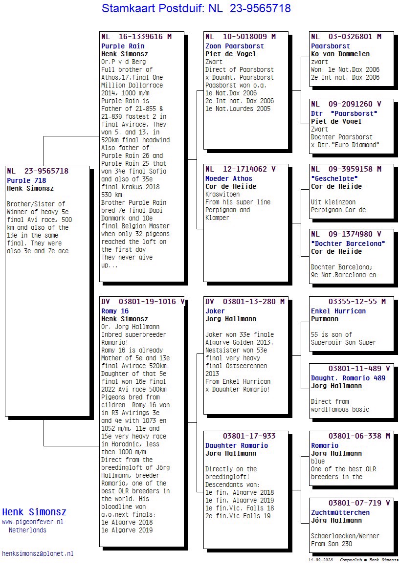 Pigeon pedigree image