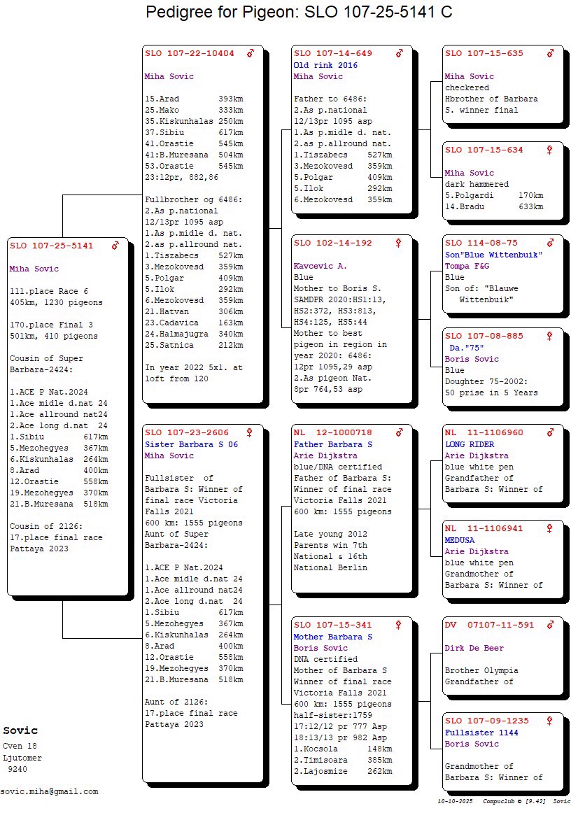 Pigeon pedigree image