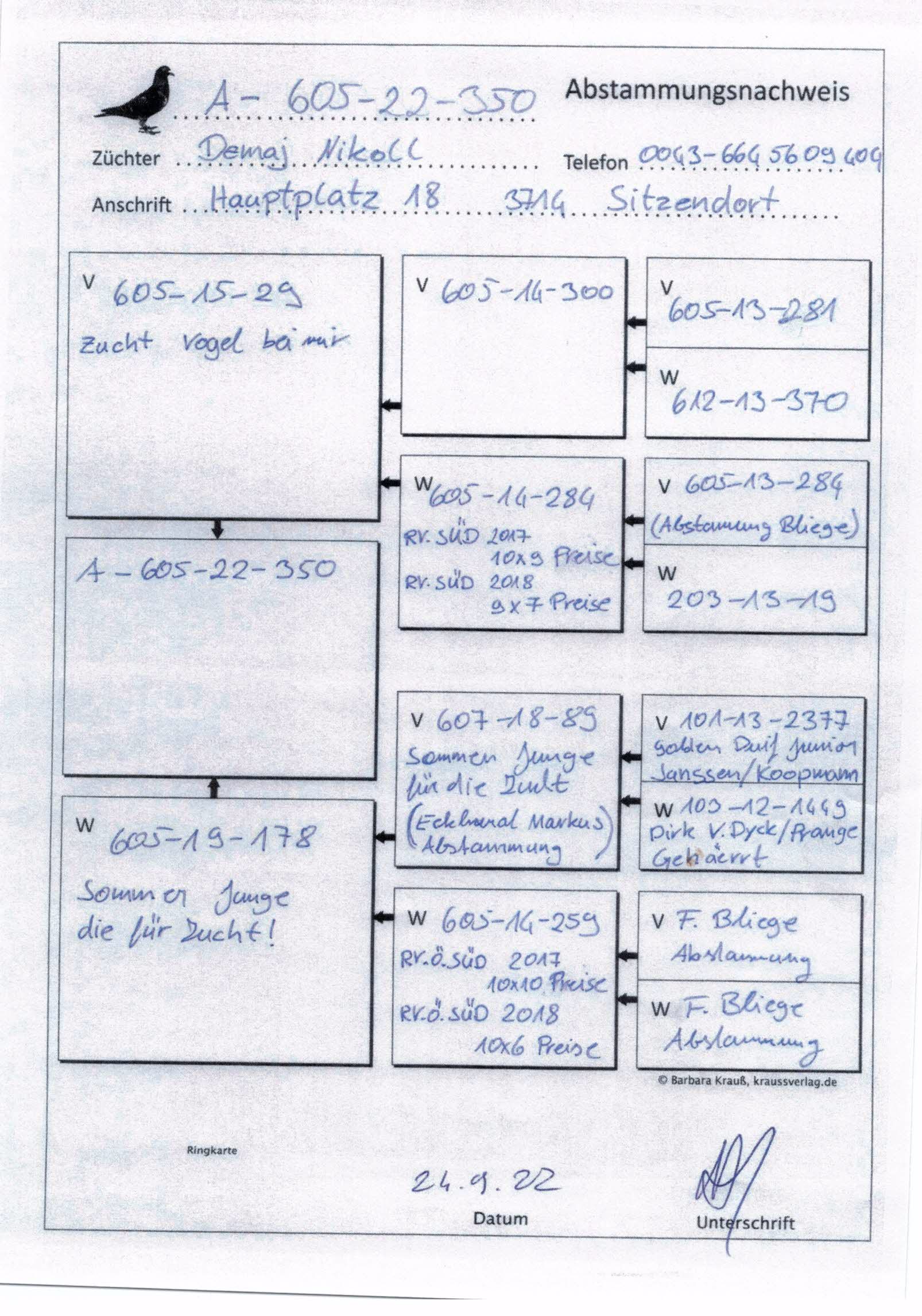 Pigeon pedigree image