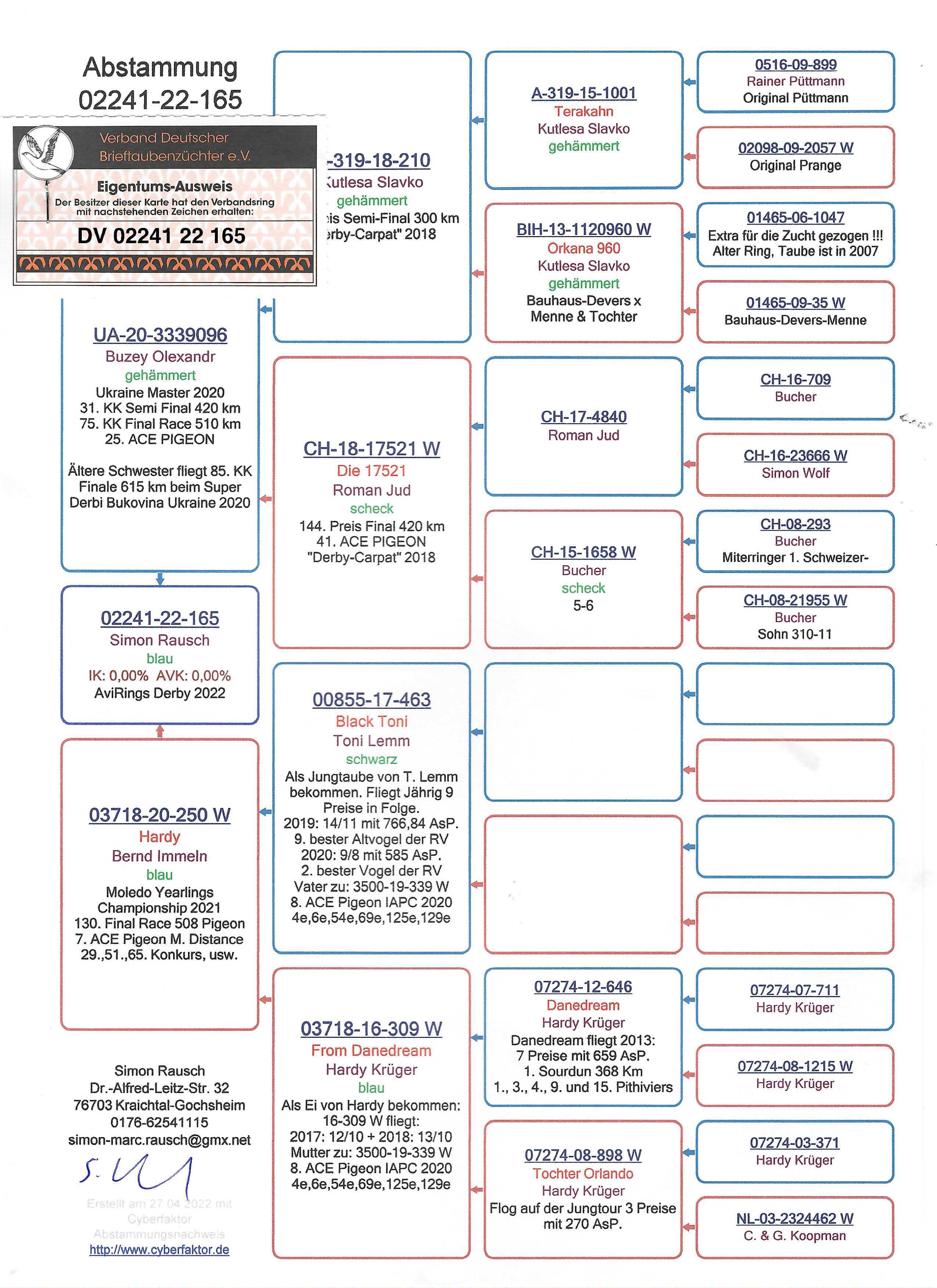 Pigeon pedigree image