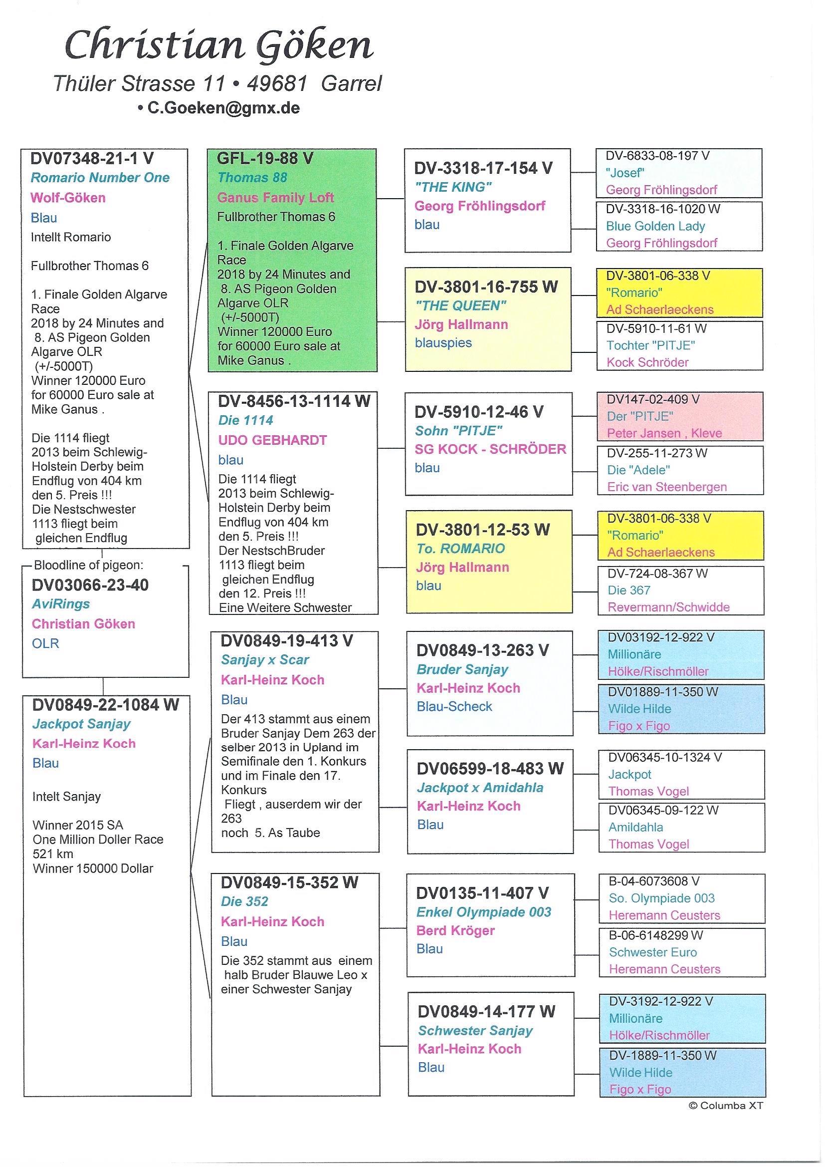 Pigeon pedigree image