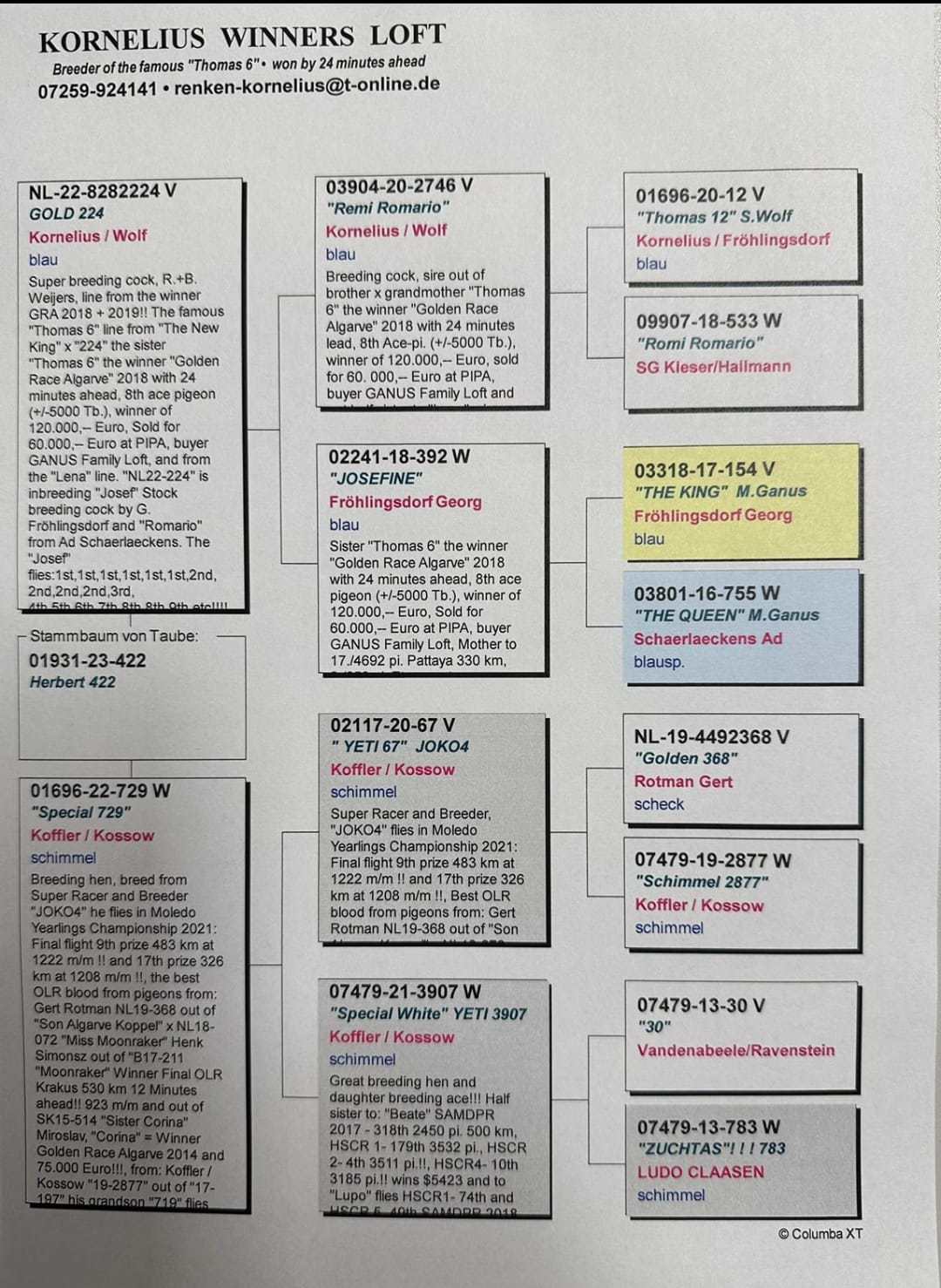 Pigeon pedigree image