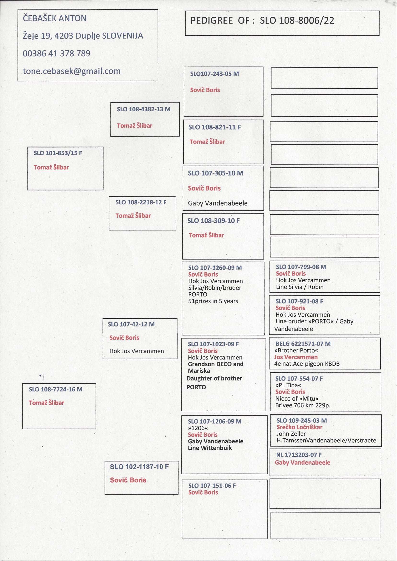 Pigeon pedigree image