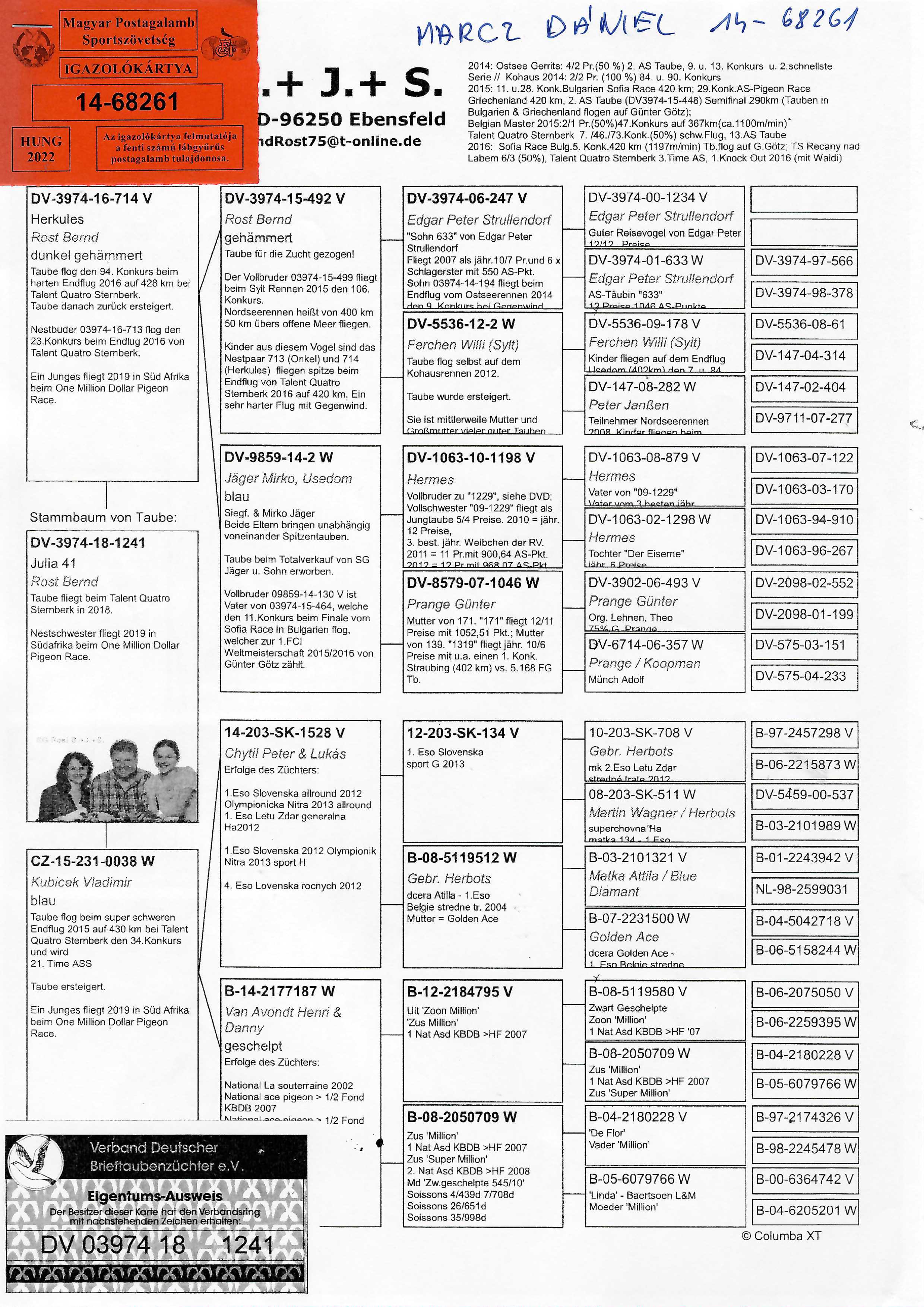 Pigeon pedigree image