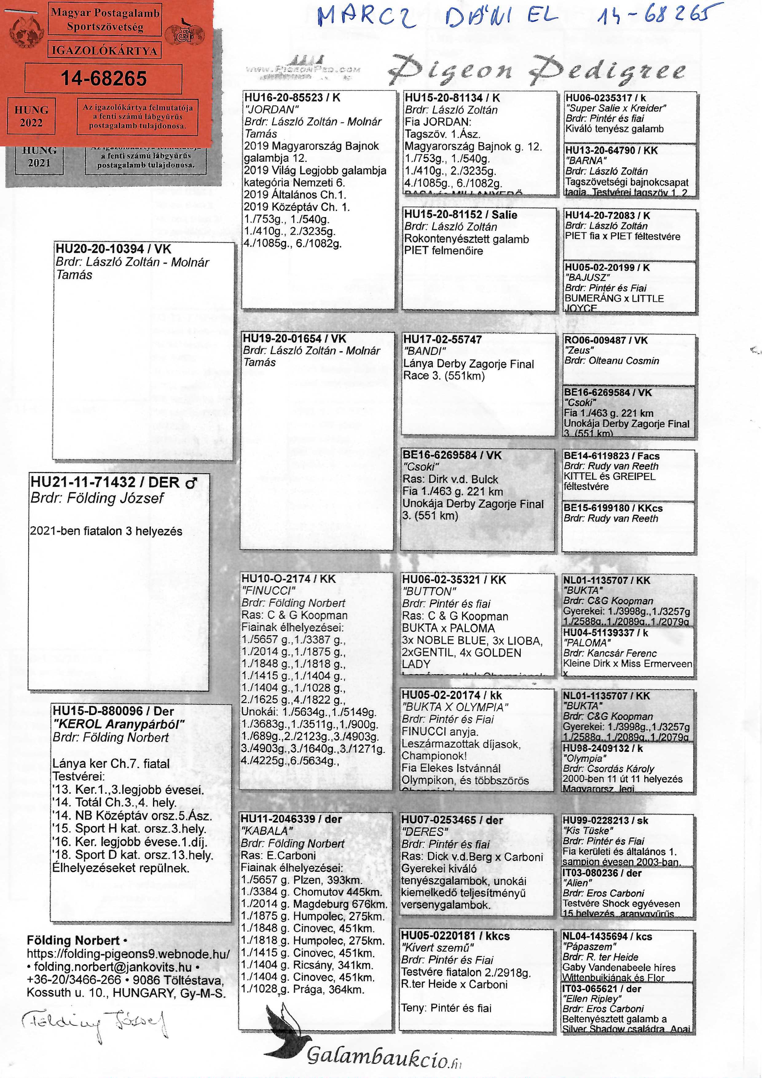 Pigeon pedigree image