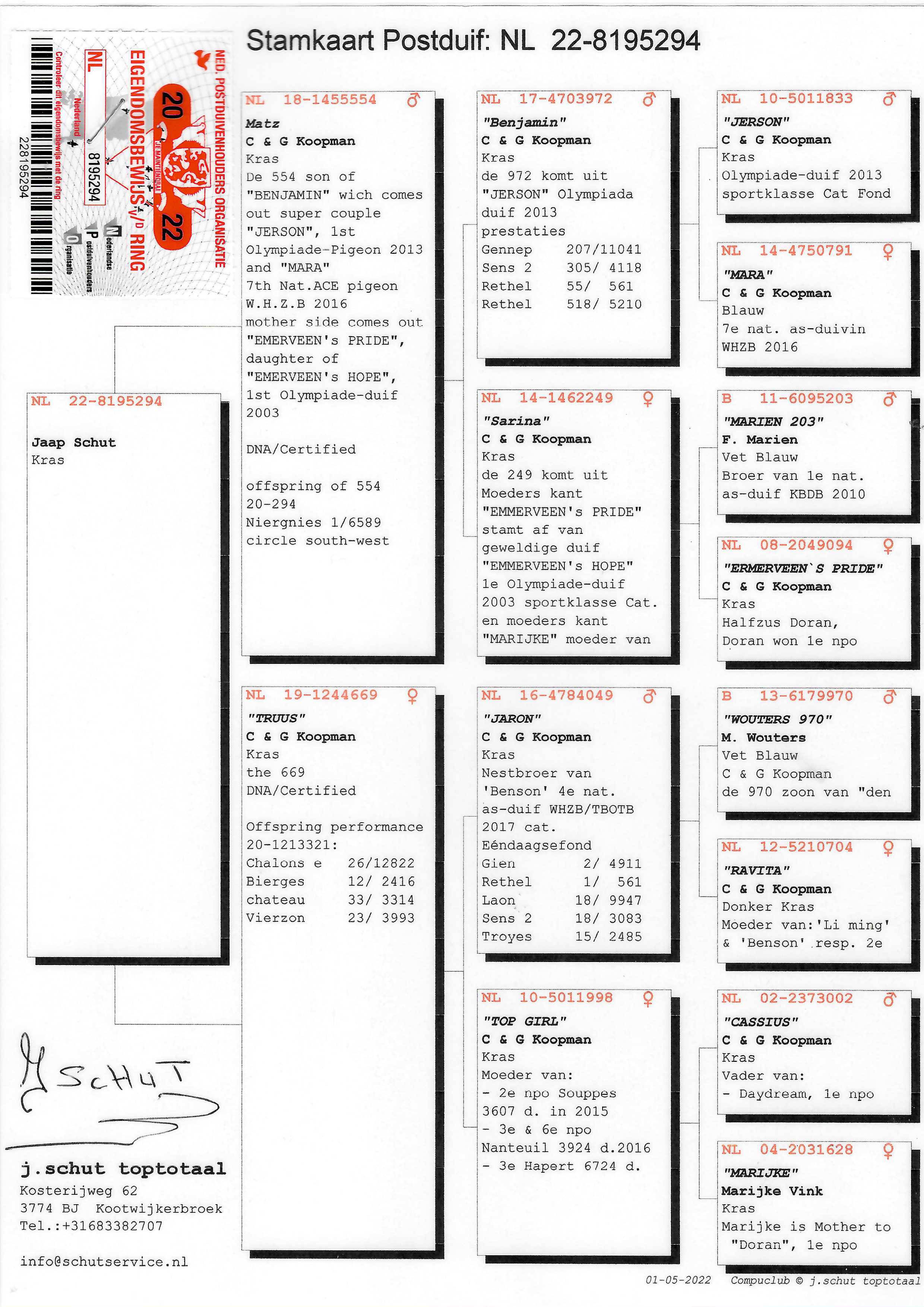 Pigeon pedigree image