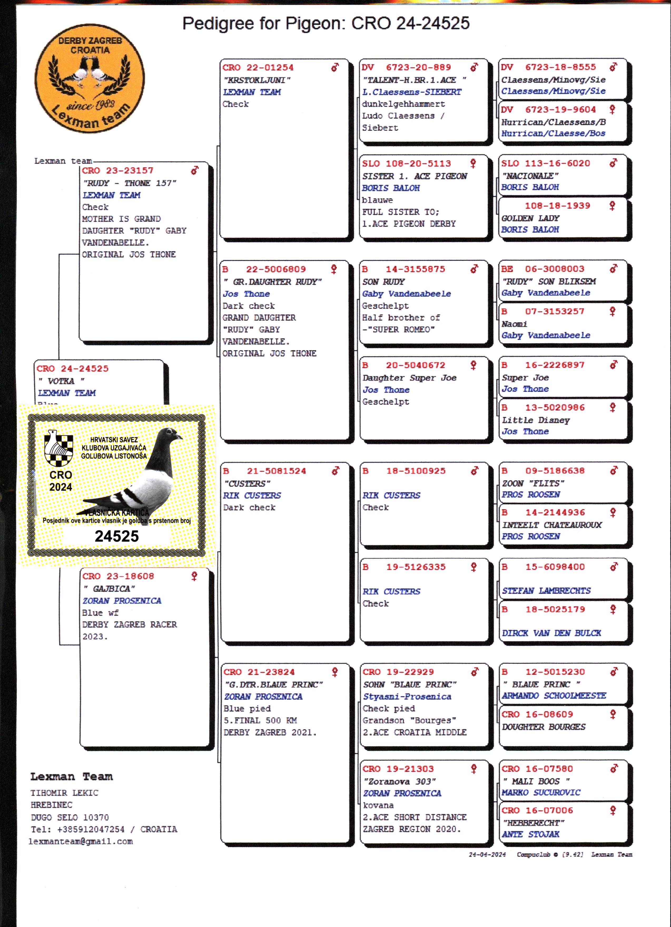 Pigeon pedigree image