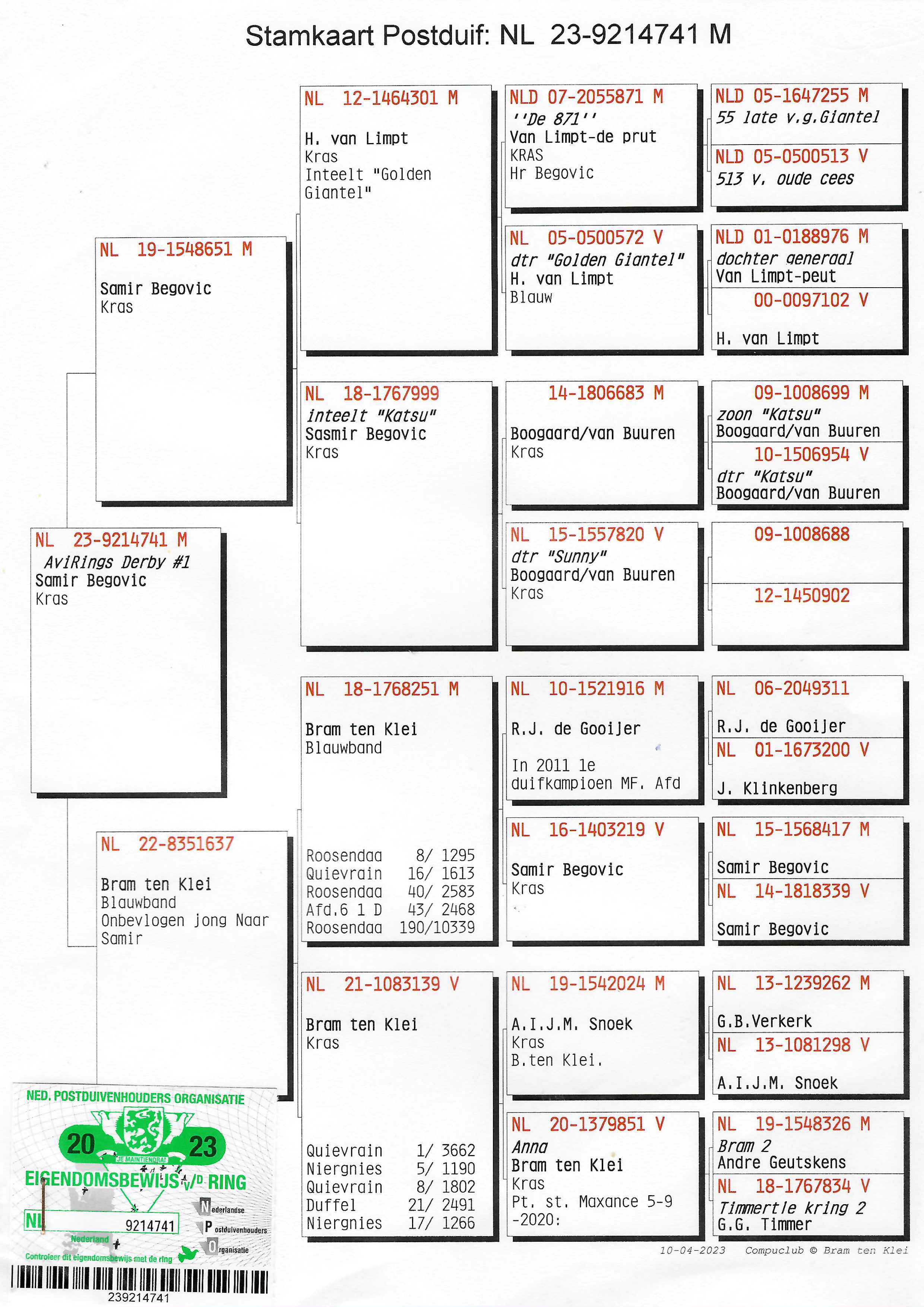 Pigeon pedigree image