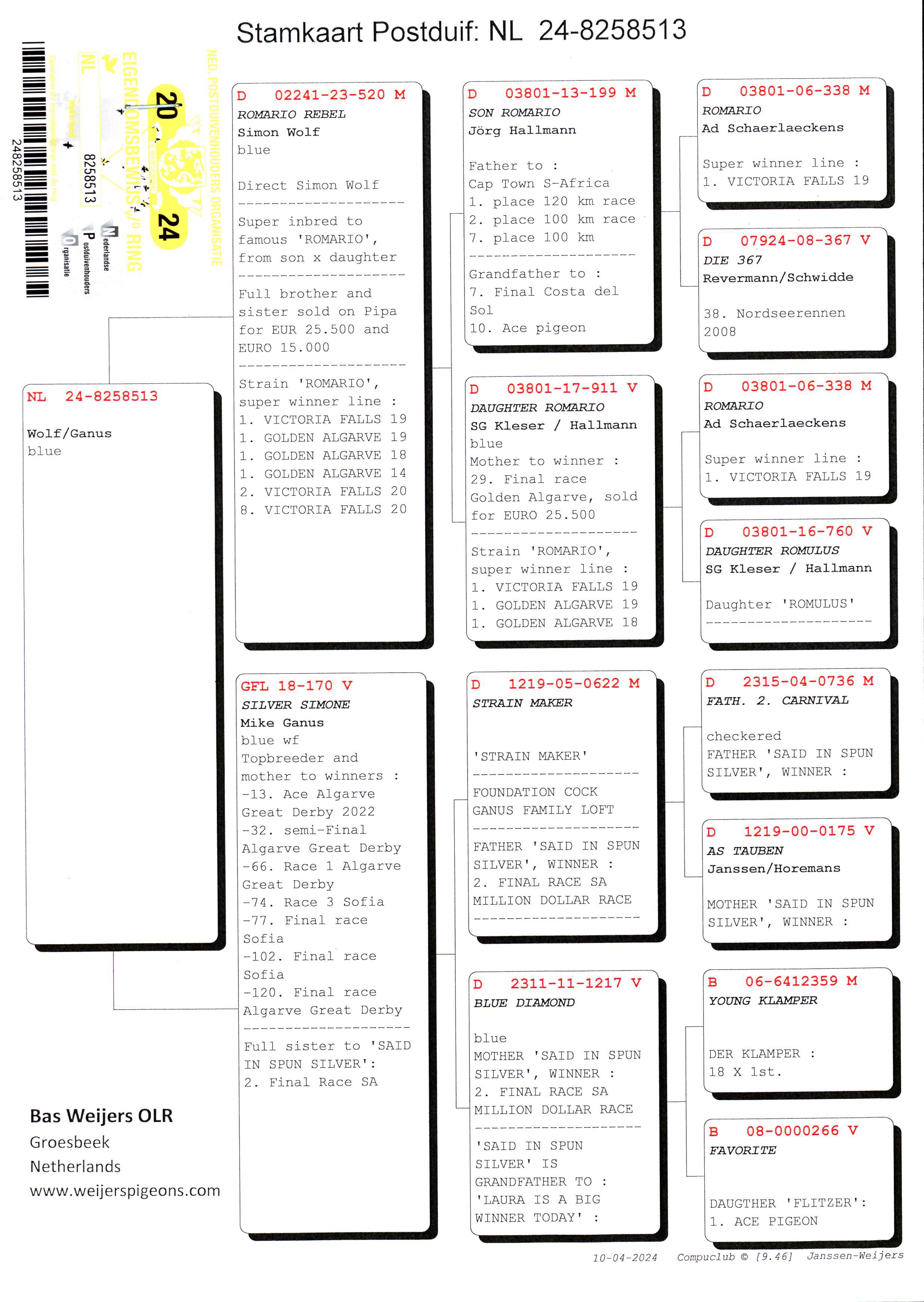 Pigeon pedigree image