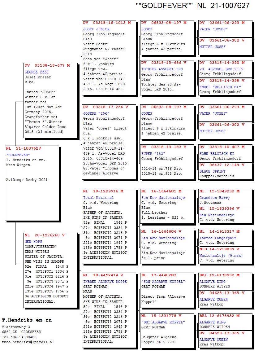 Pigeon pedigree image
