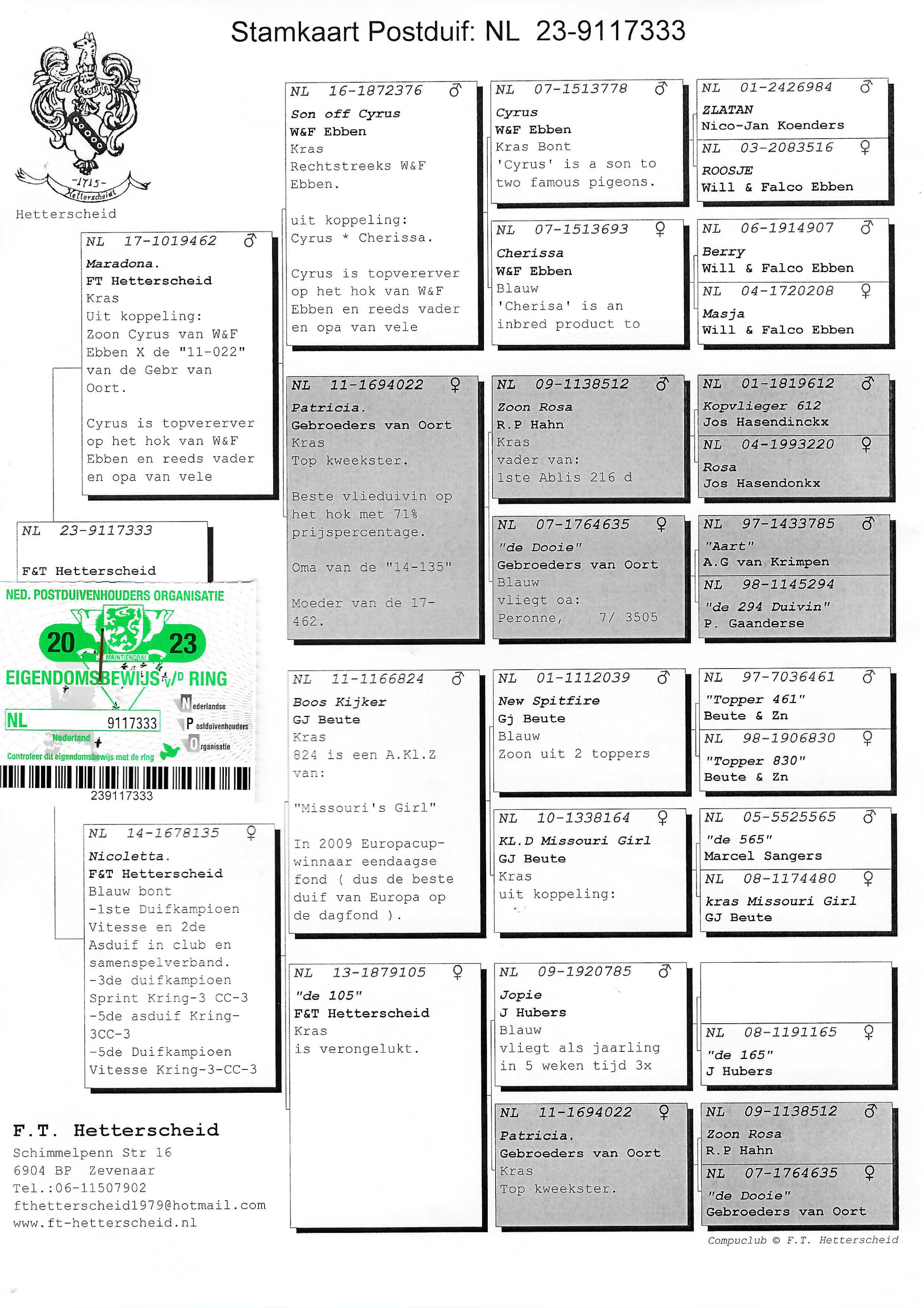 Pigeon pedigree image