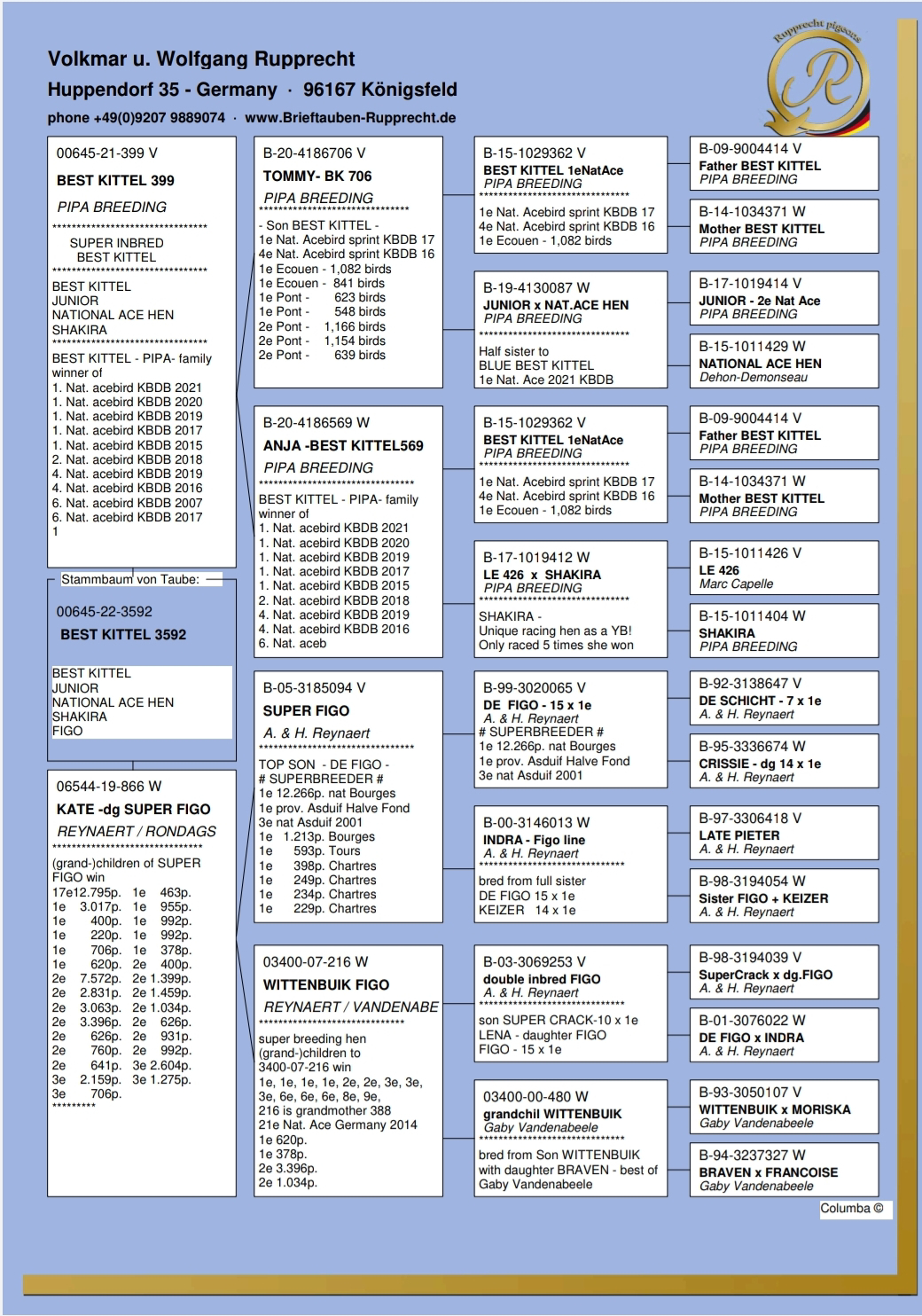 Pigeon pedigree image