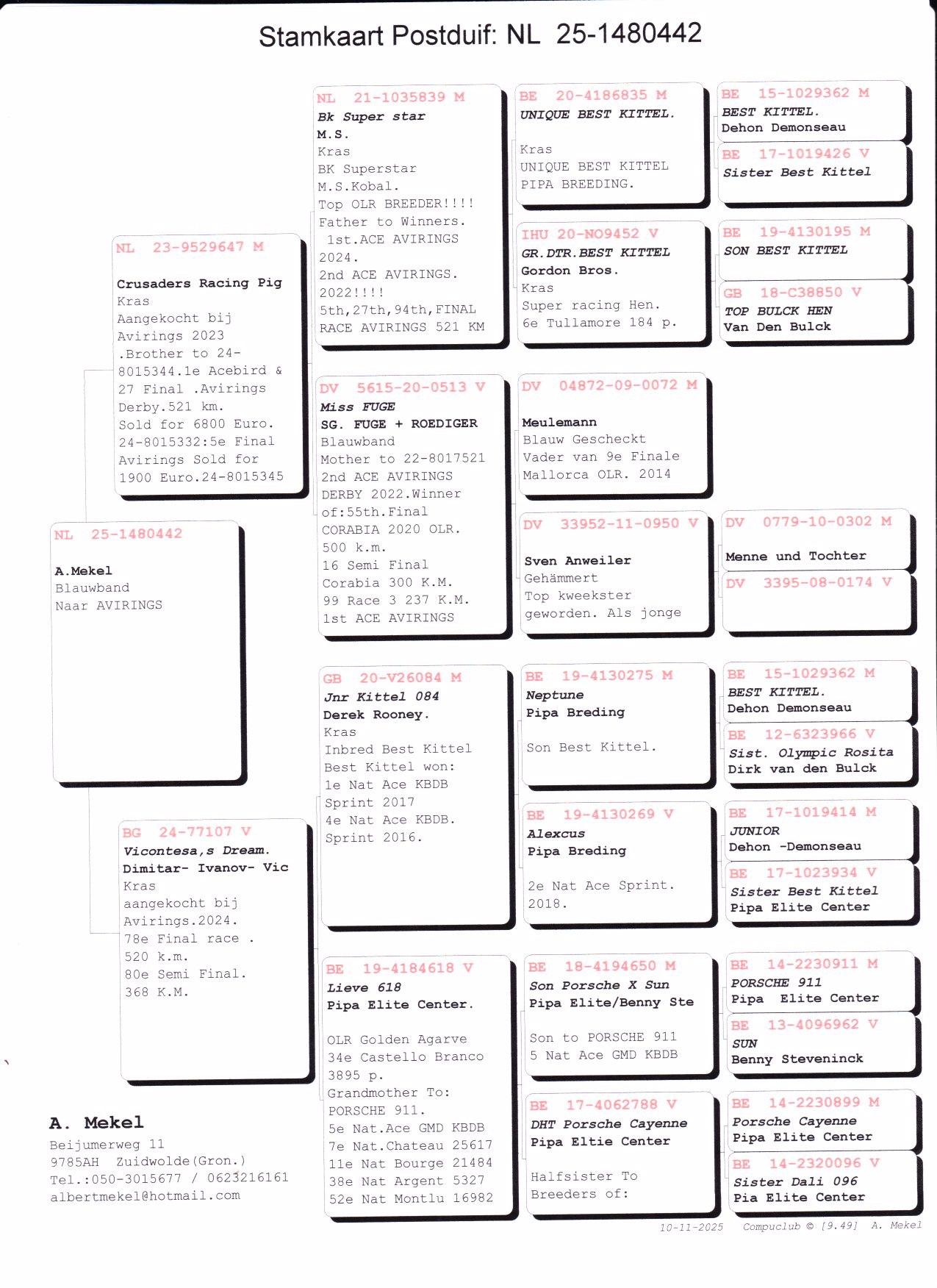 Pigeon pedigree image