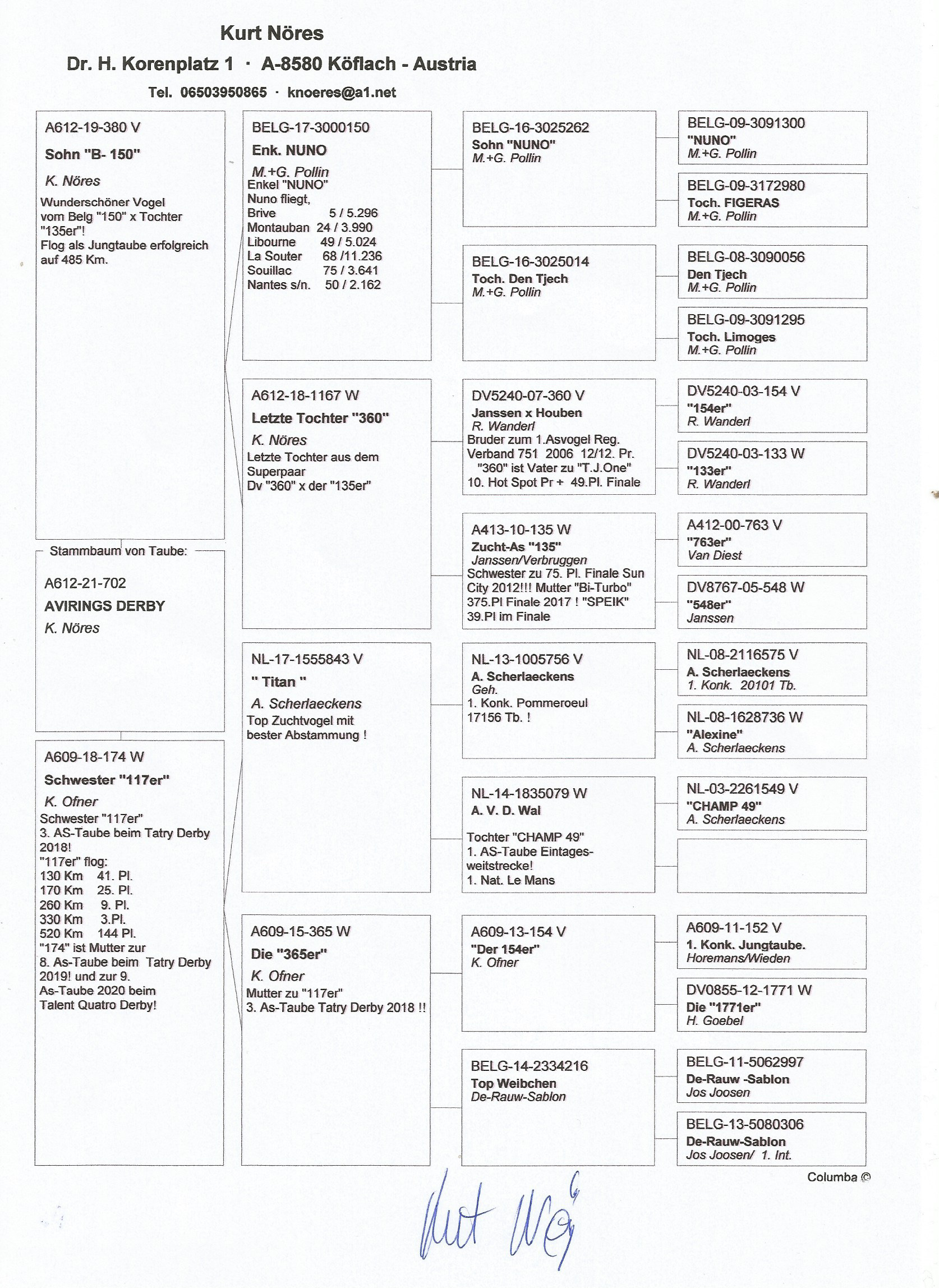Pigeon pedigree image