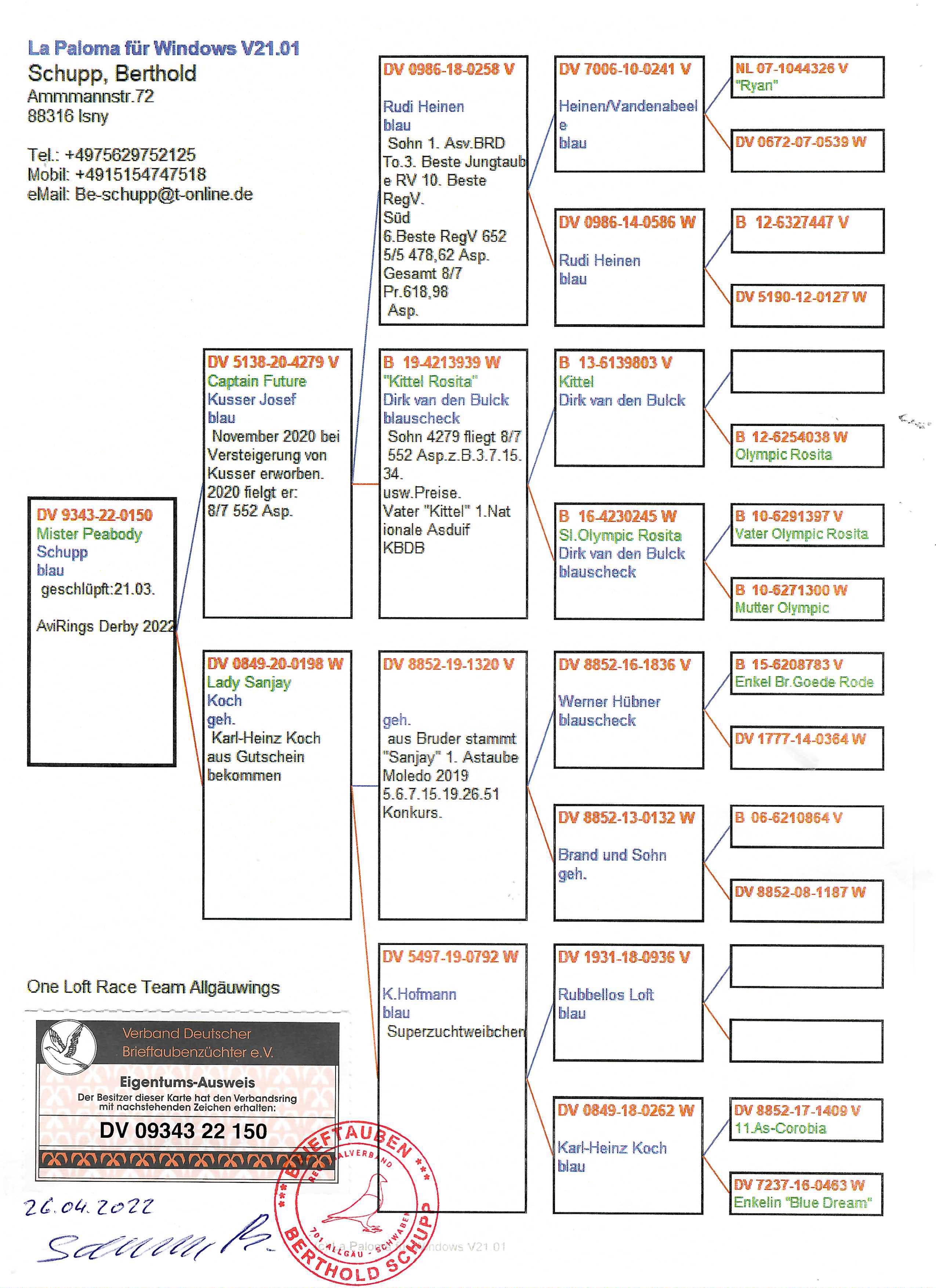 Pigeon pedigree image