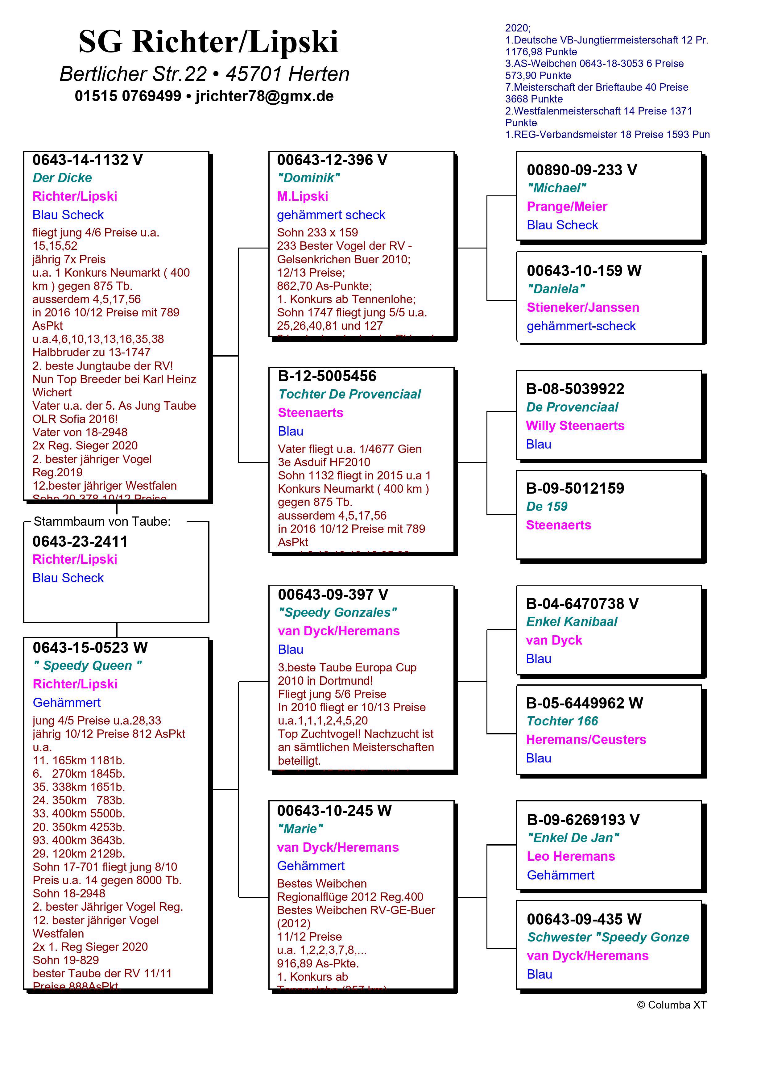 Pigeon pedigree image