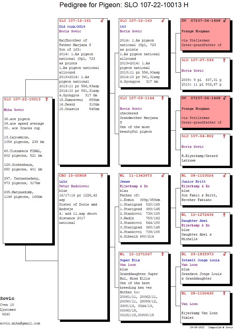 Pigeon pedigree image