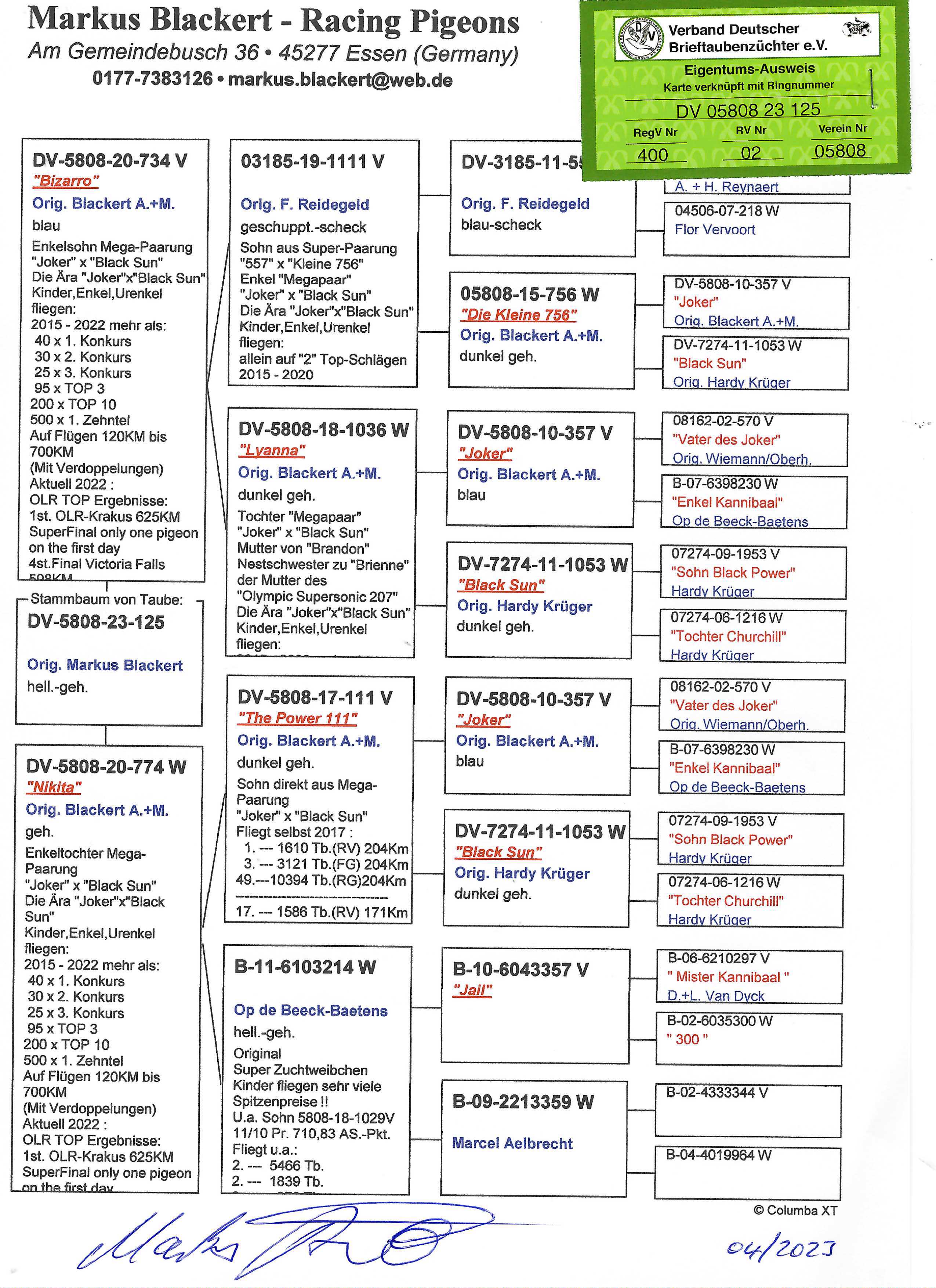 Pigeon pedigree image