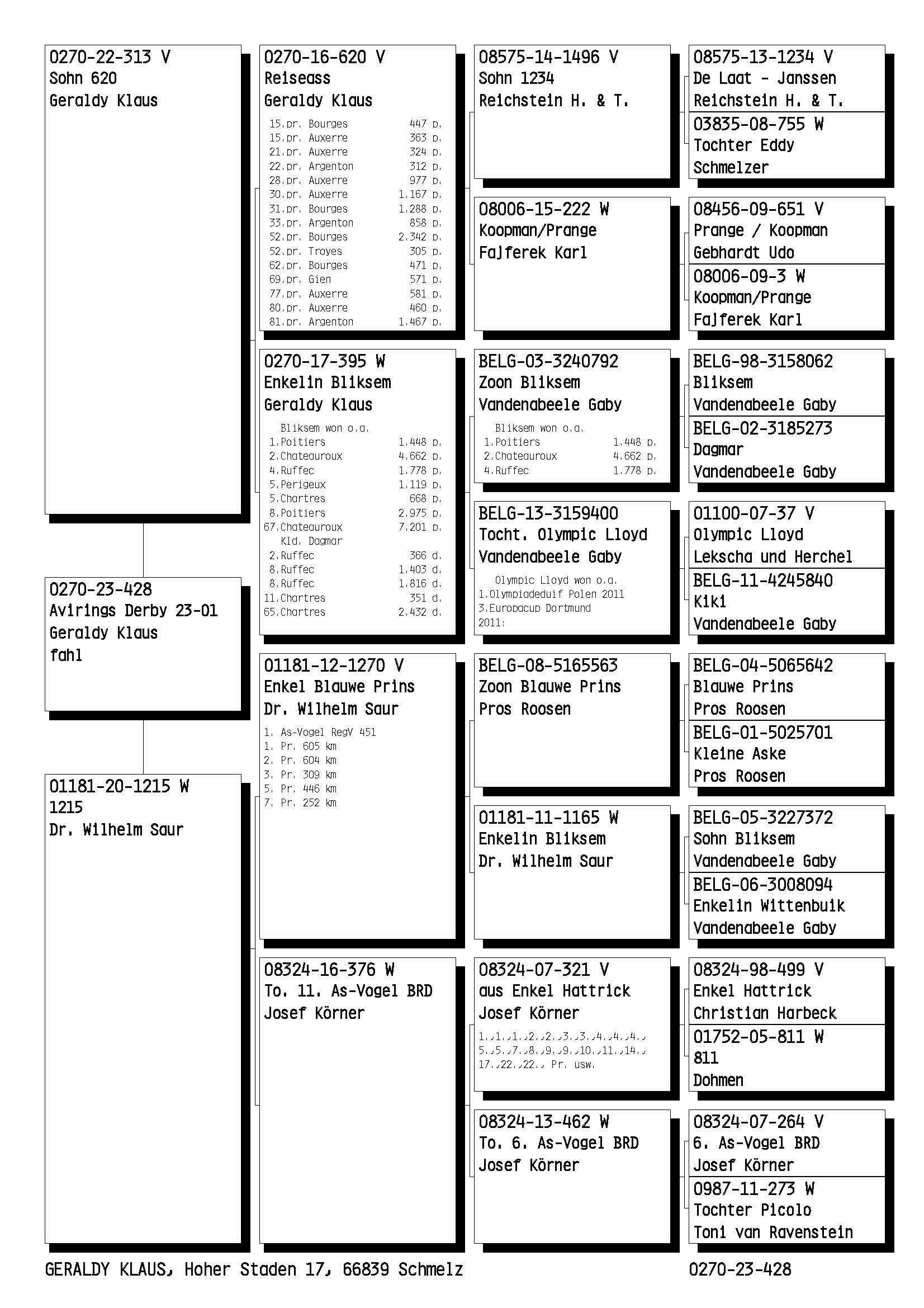 Pigeon pedigree image
