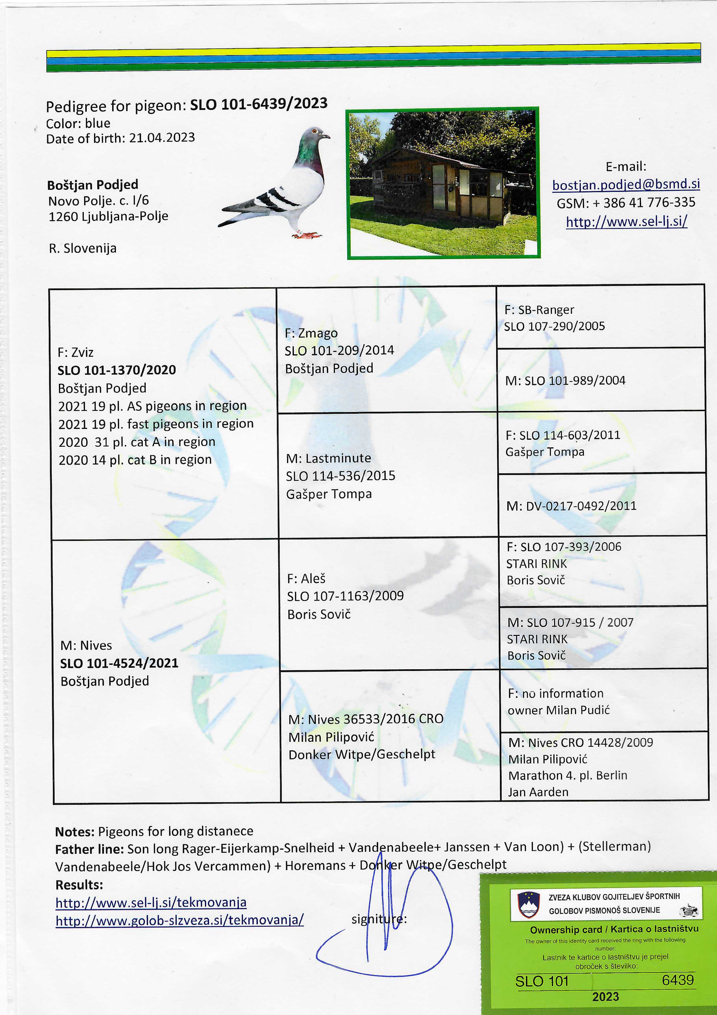 Pigeon pedigree image