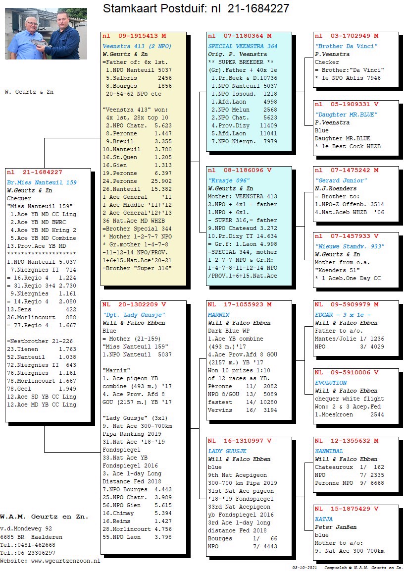 Pigeon pedigree image