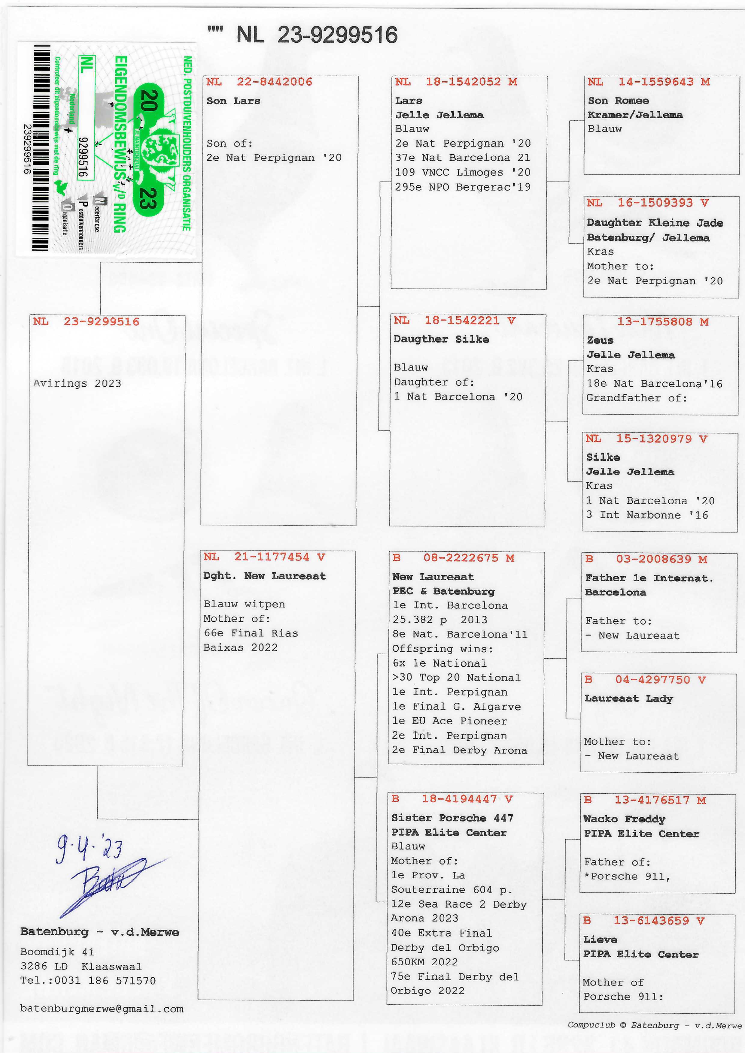 Pigeon pedigree image