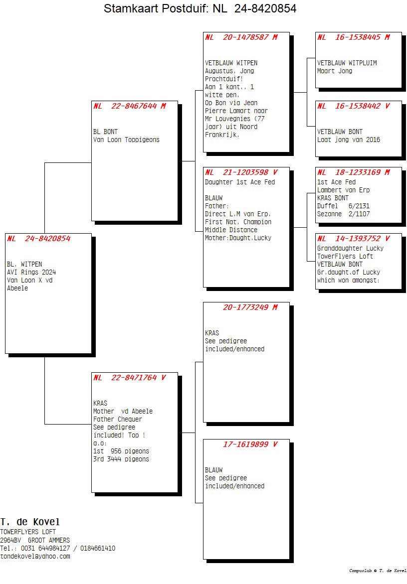 Pigeon pedigree image