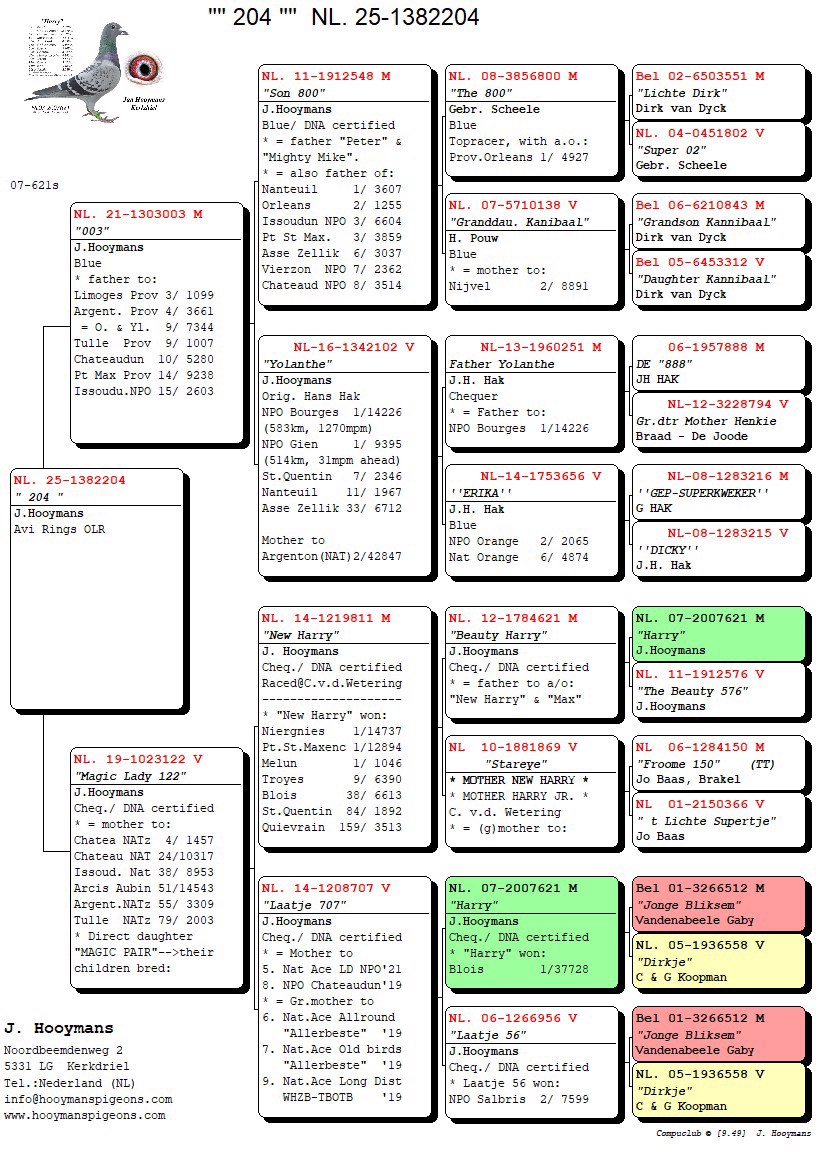 Pigeon pedigree image