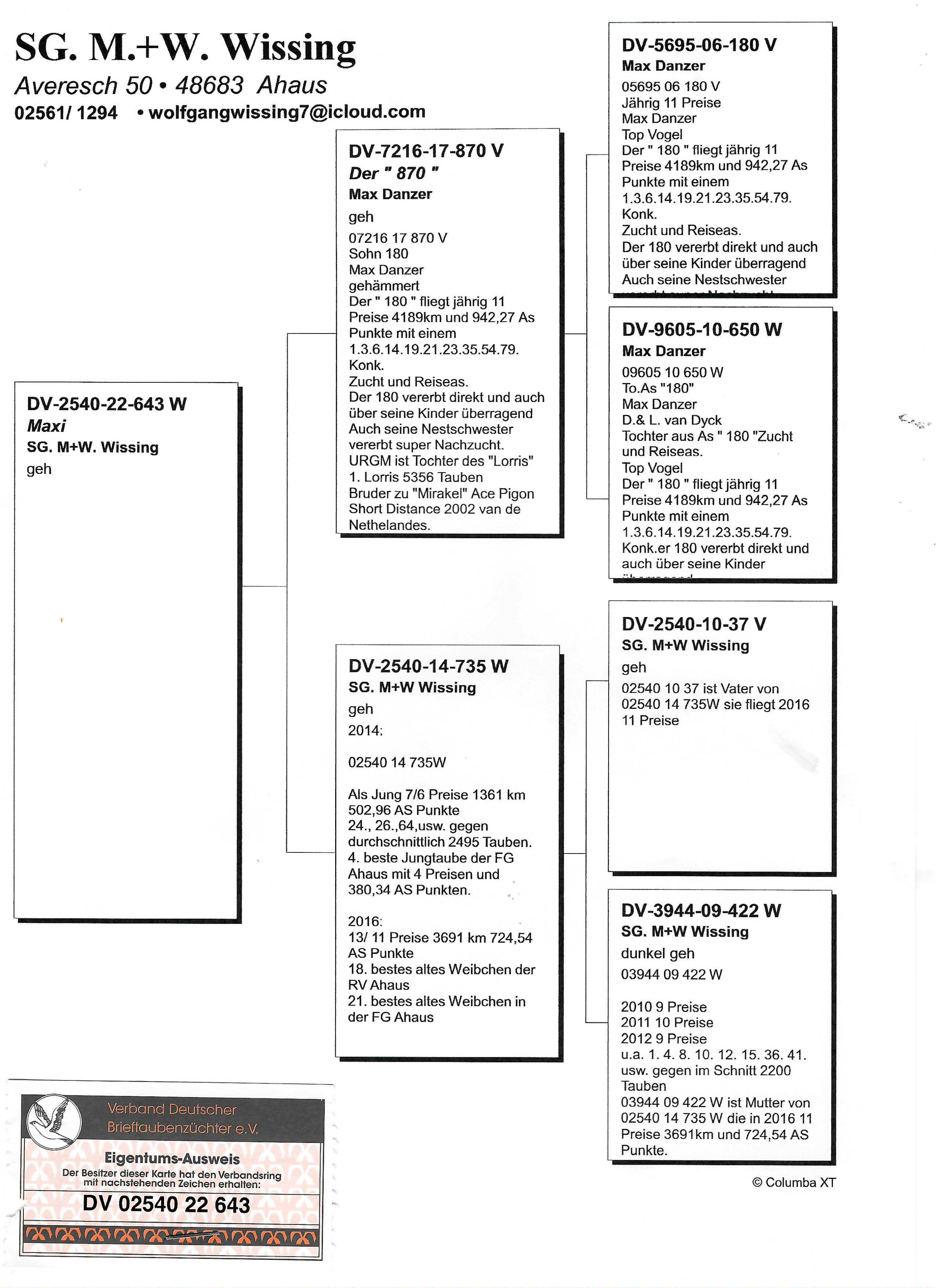 Pigeon pedigree image