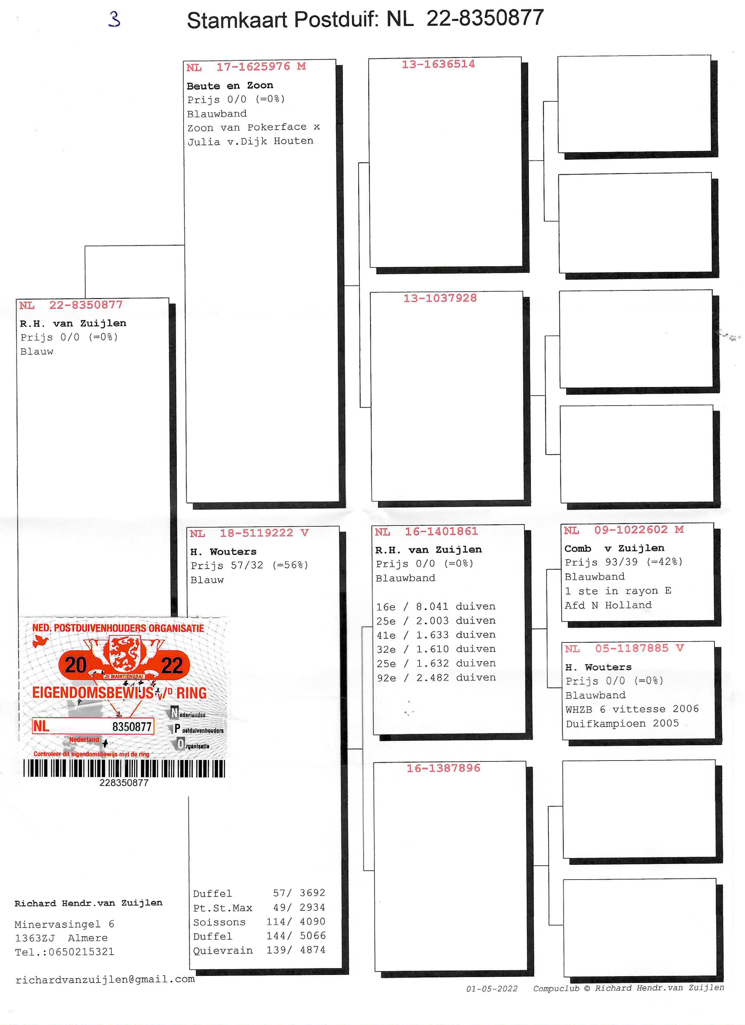 Pigeon pedigree image