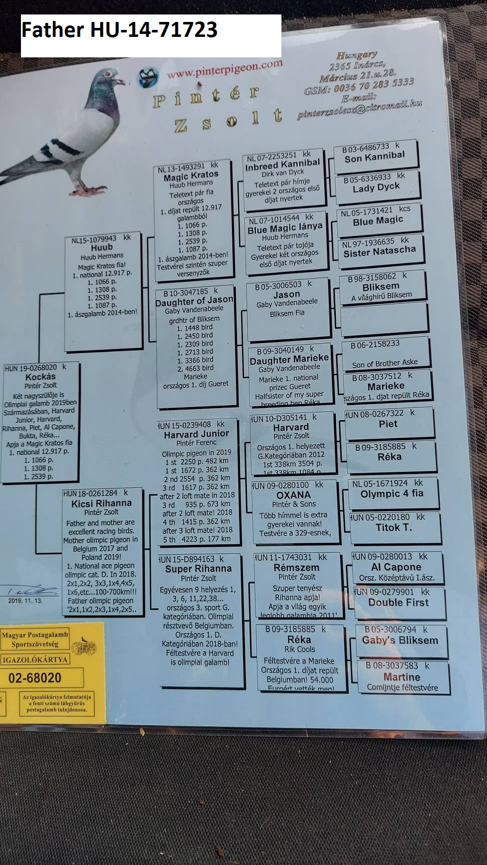 Pigeon pedigree image