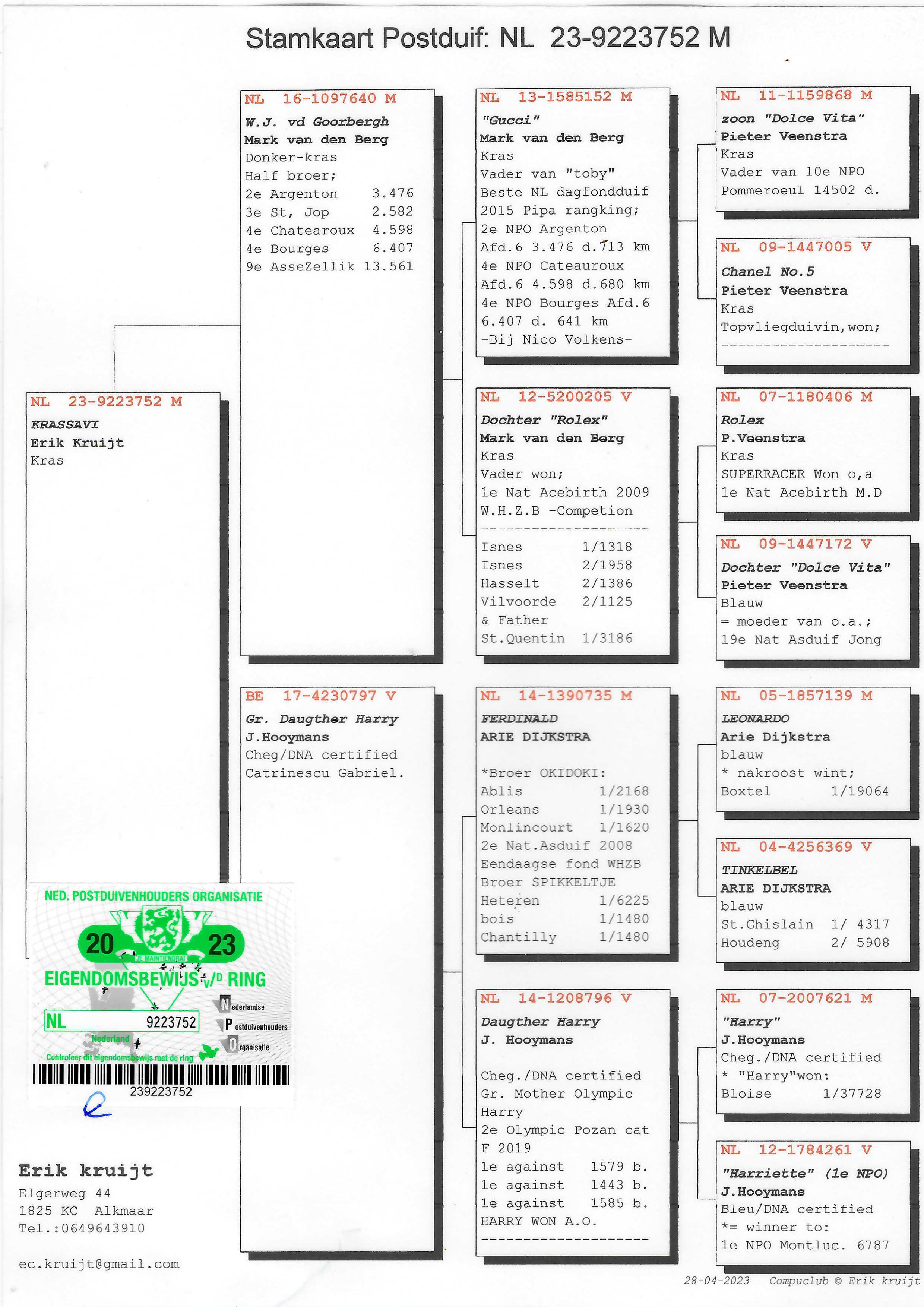 Pigeon pedigree image
