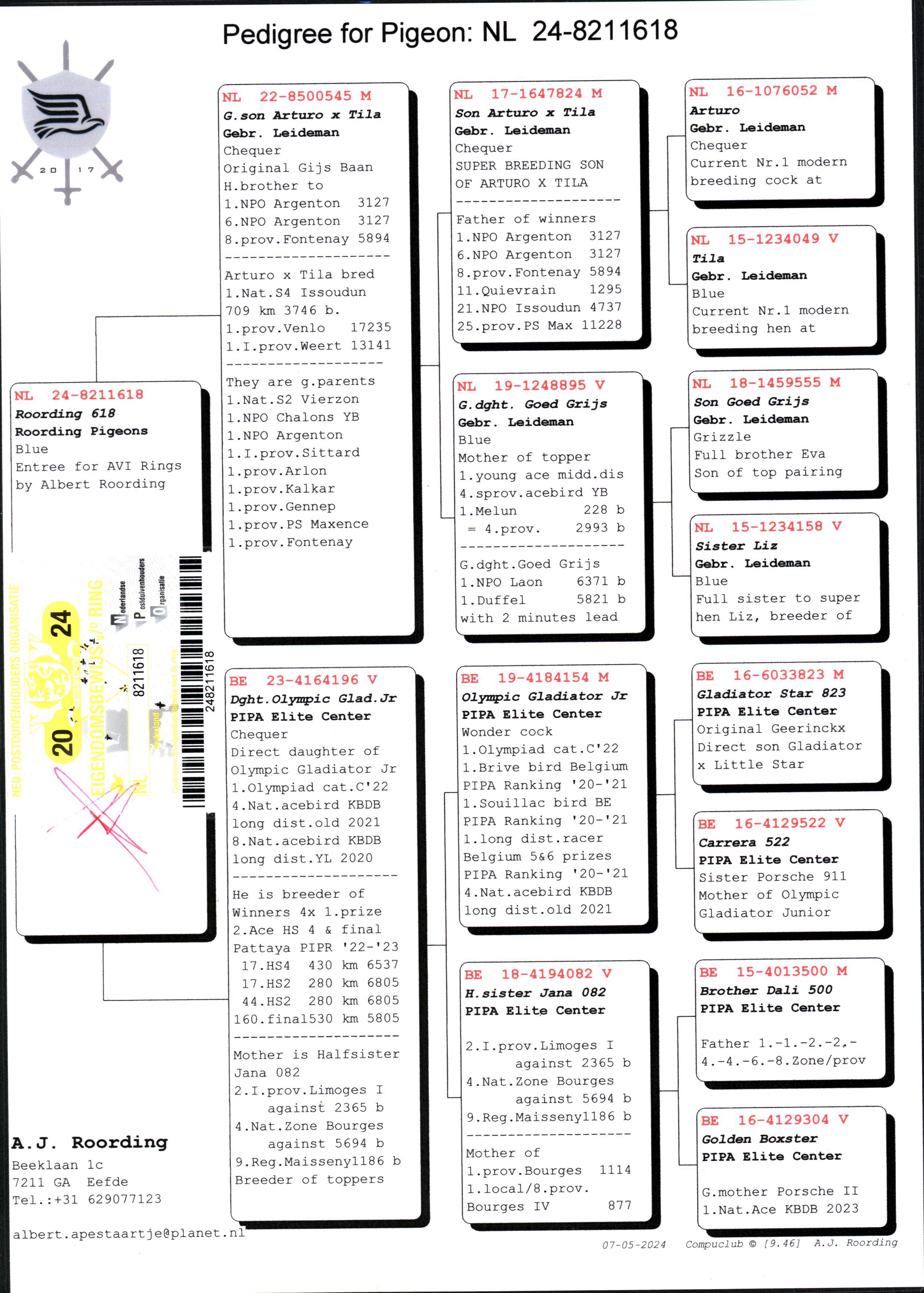 Pigeon pedigree image
