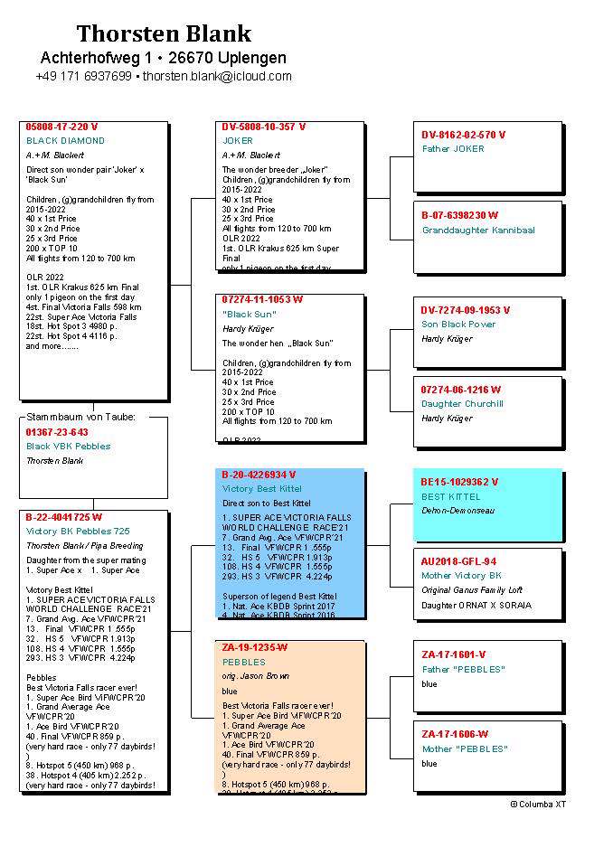 Pigeon pedigree image
