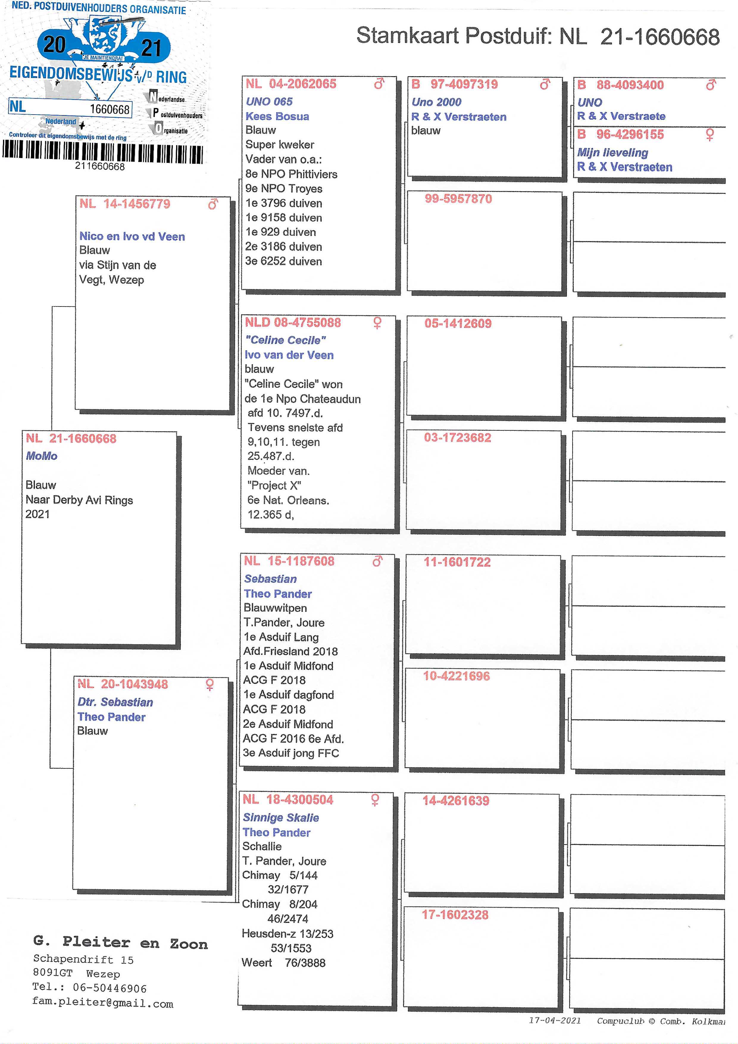 Pigeon pedigree image