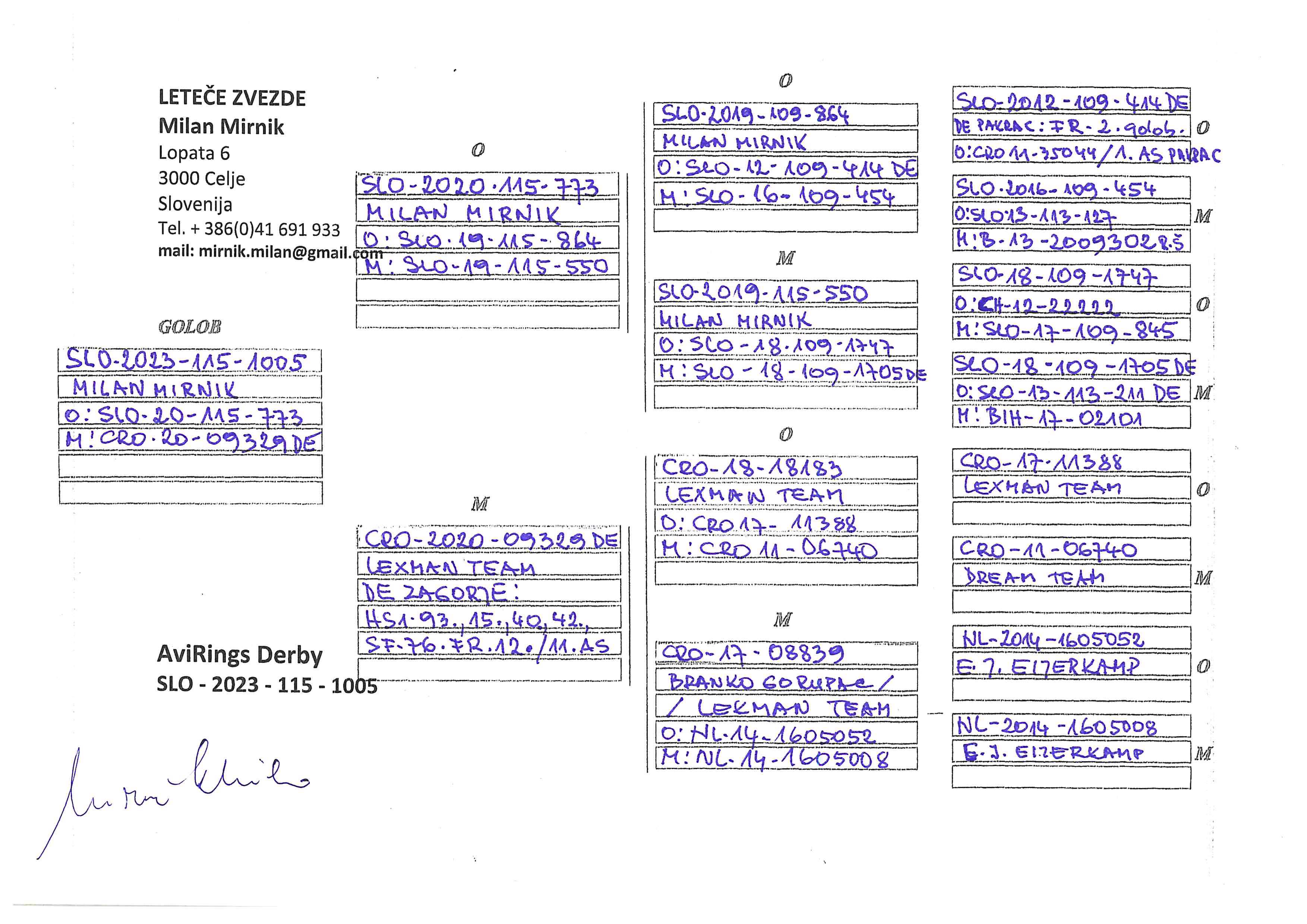 Pigeon pedigree image