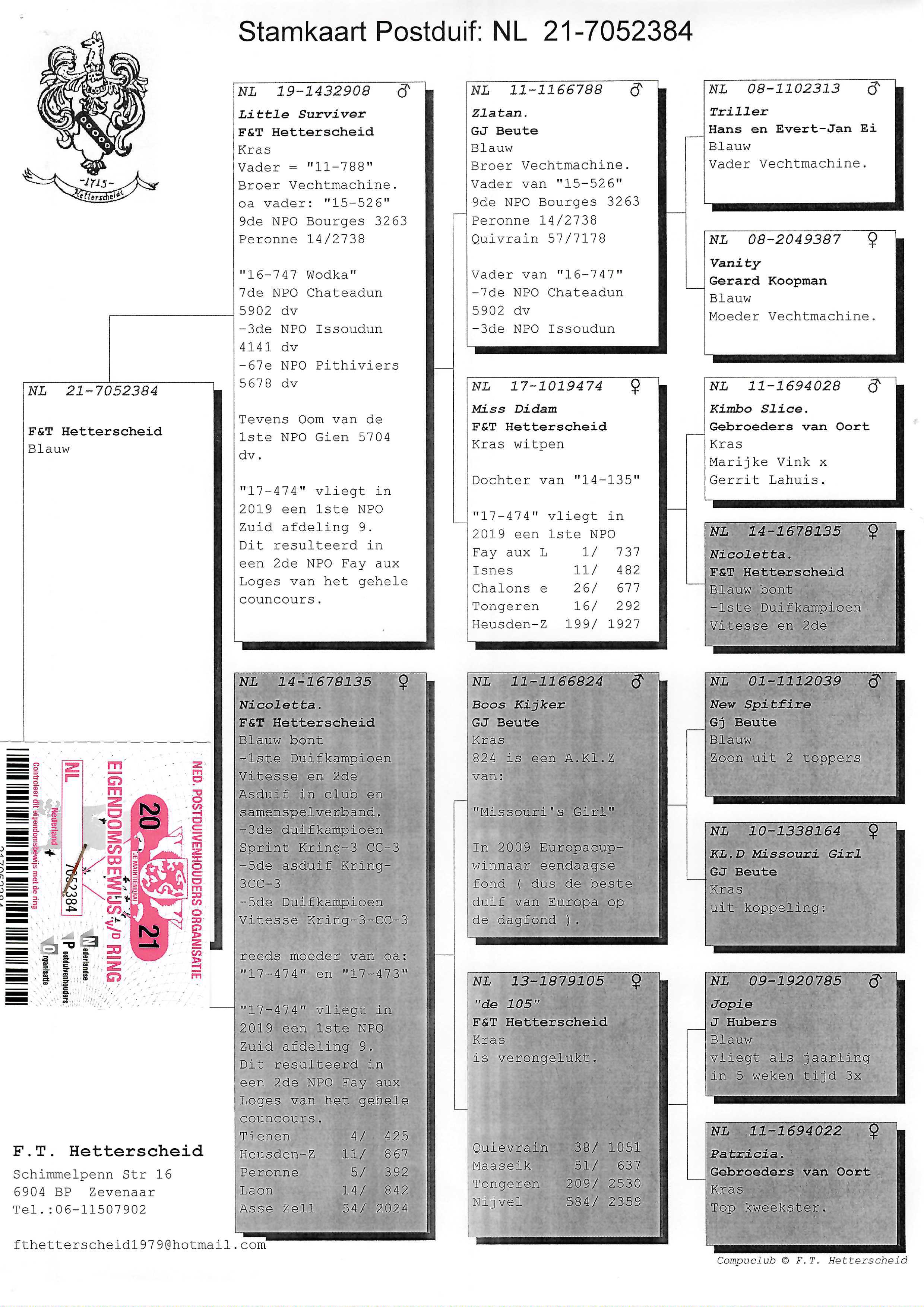 Pigeon pedigree image
