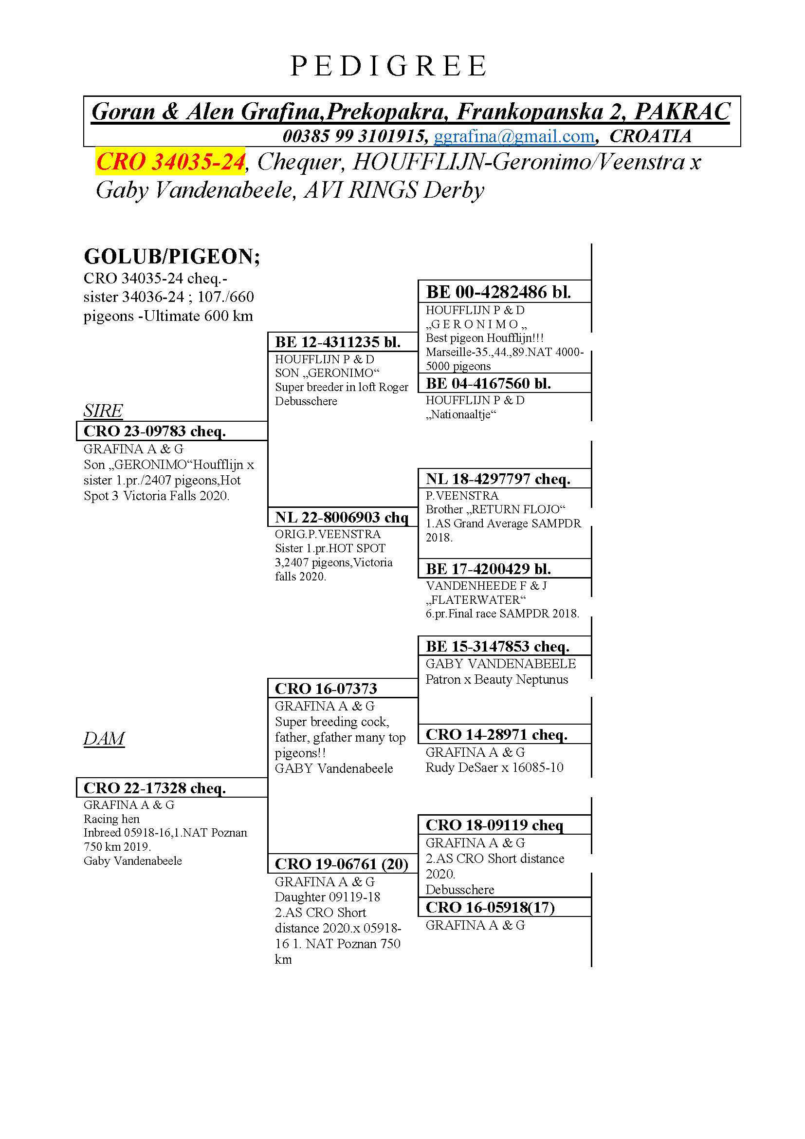 Pigeon pedigree image