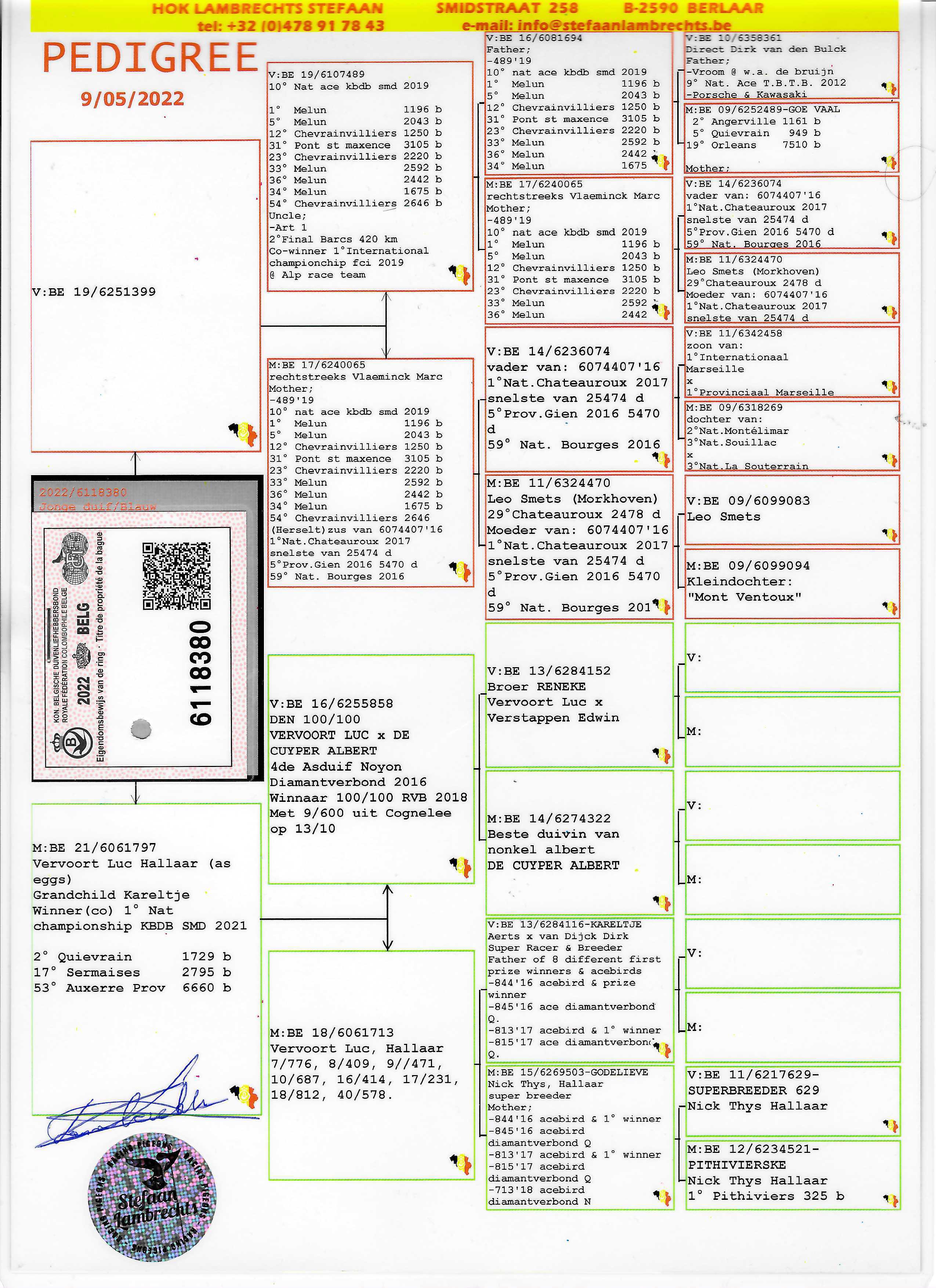 Pigeon pedigree image