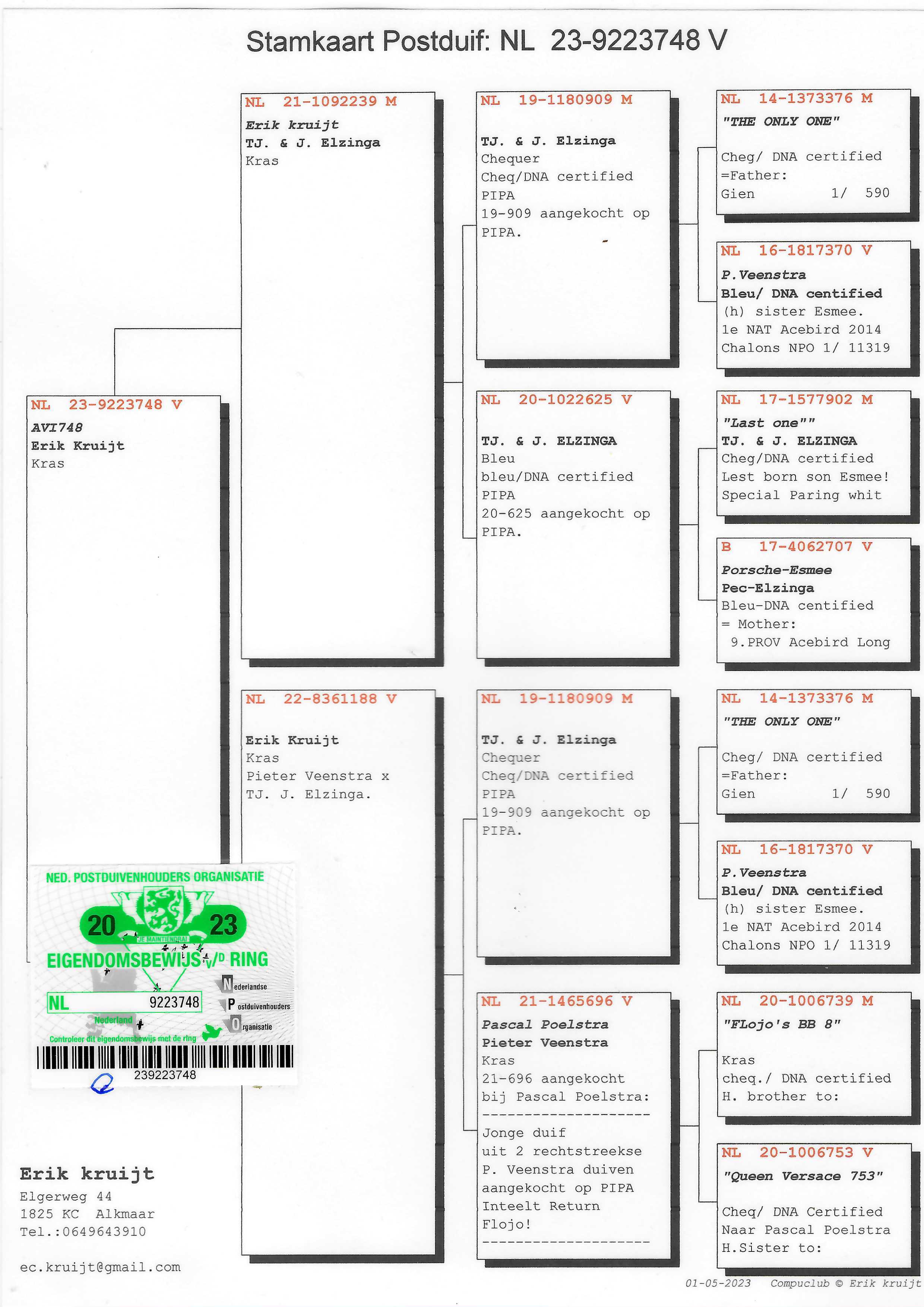 Pigeon pedigree image