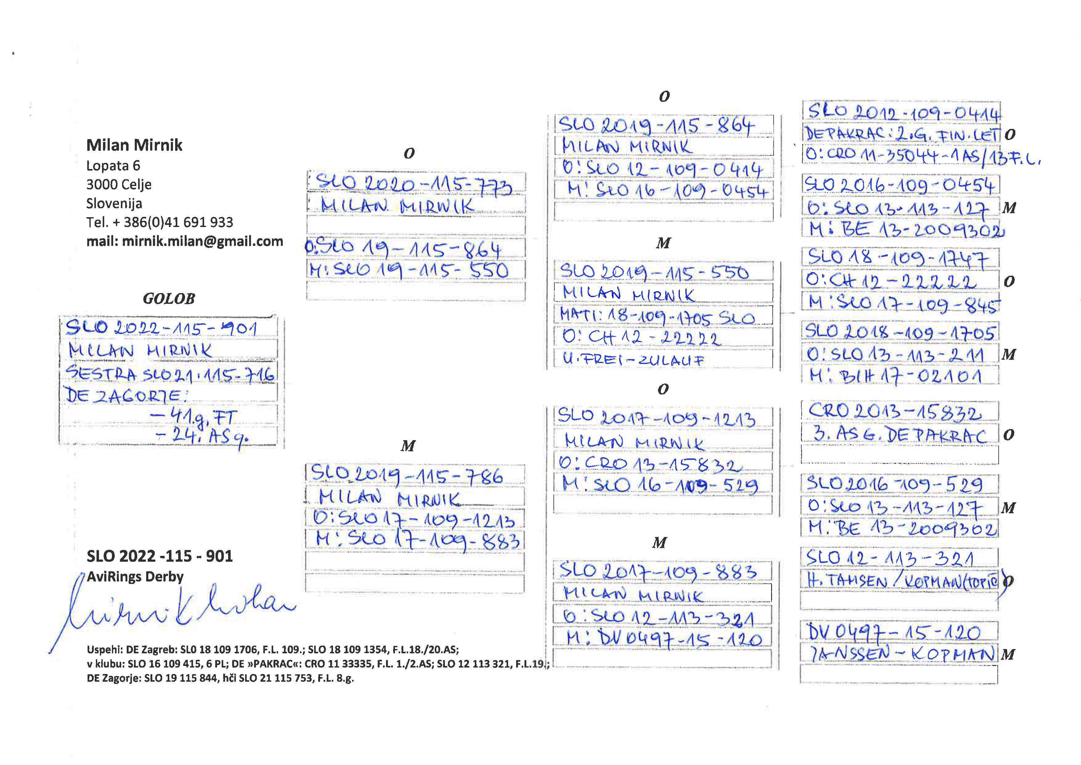 Pigeon pedigree image