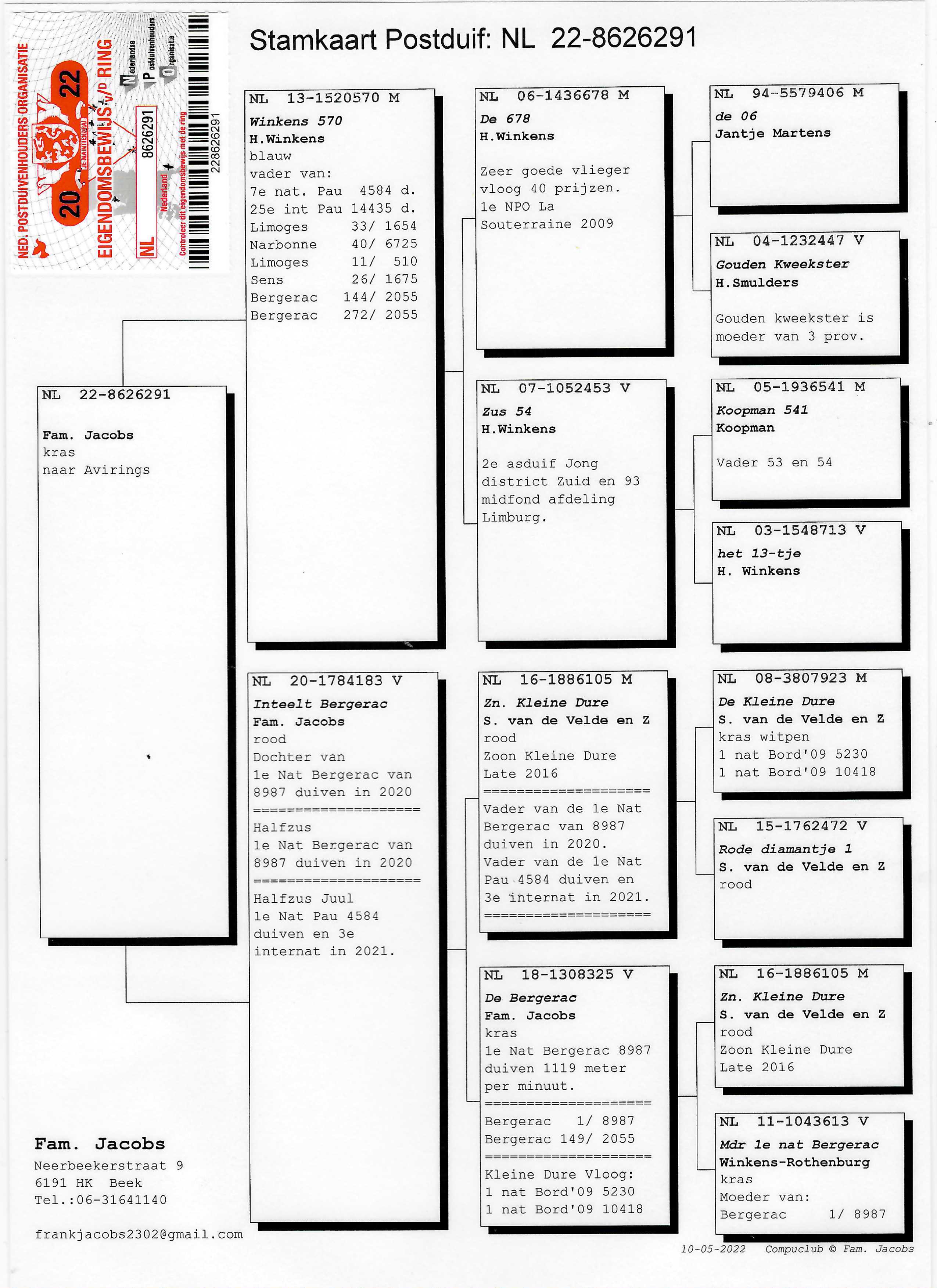 Pigeon pedigree image