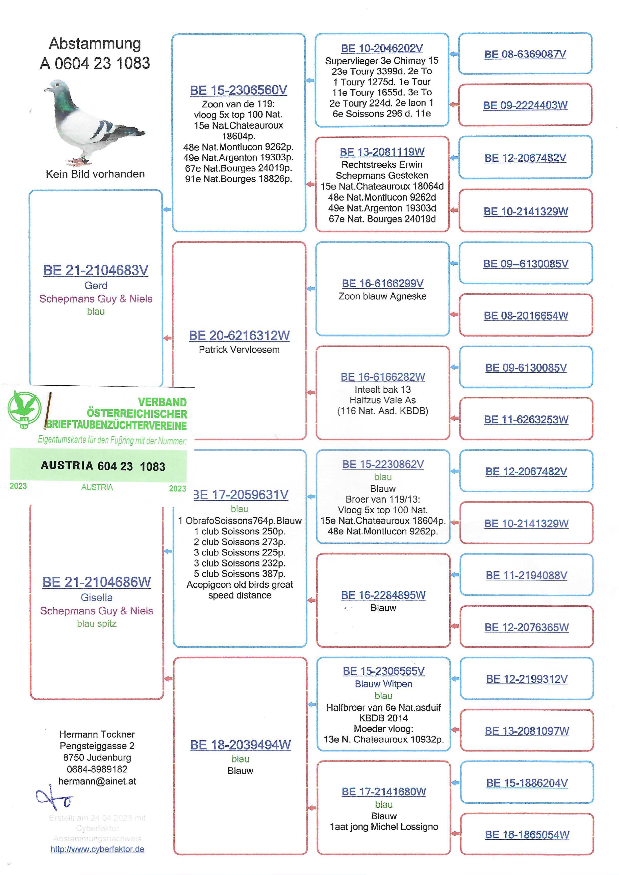 Pigeon pedigree image