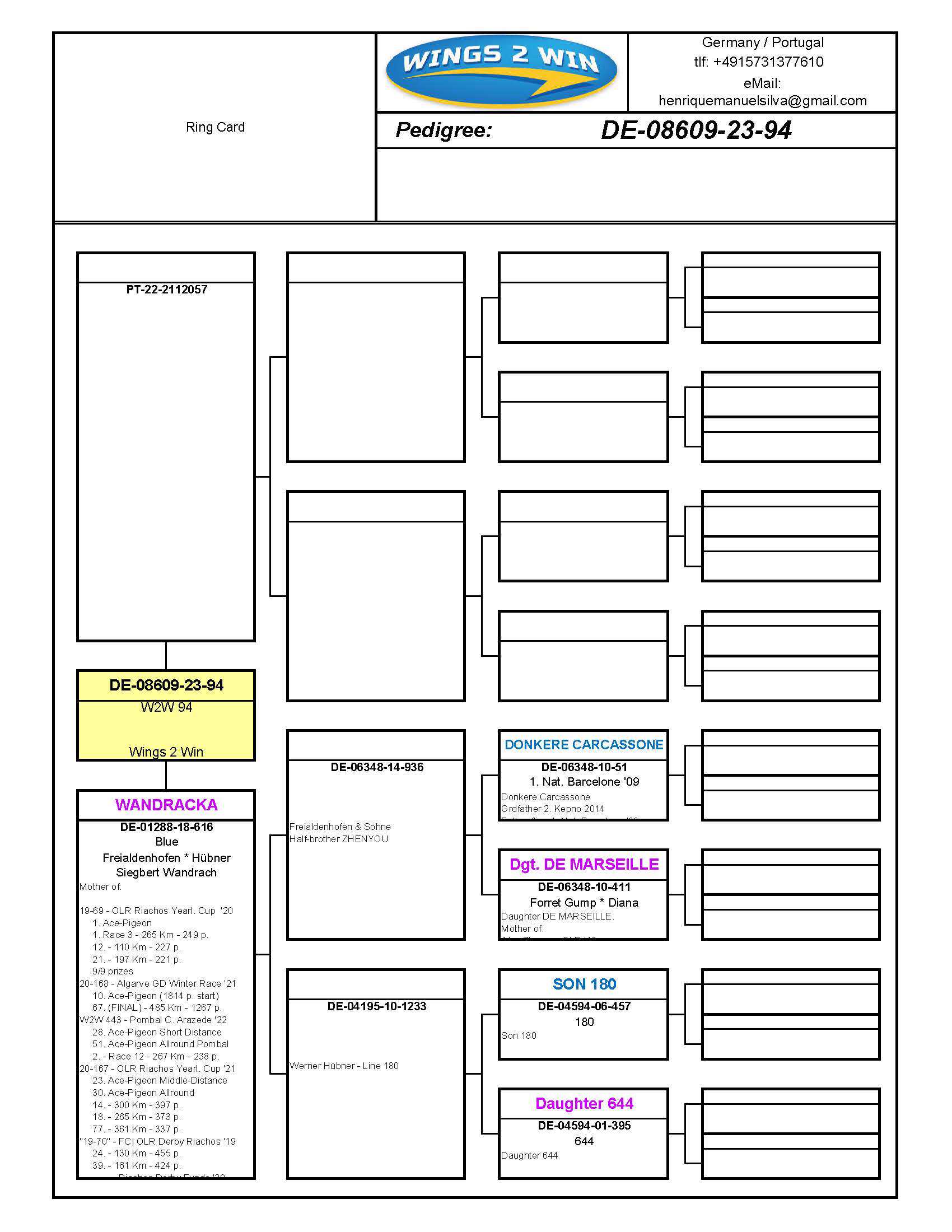 Pigeon pedigree image