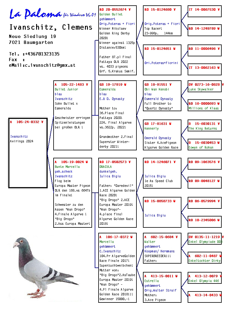 Pigeon pedigree image