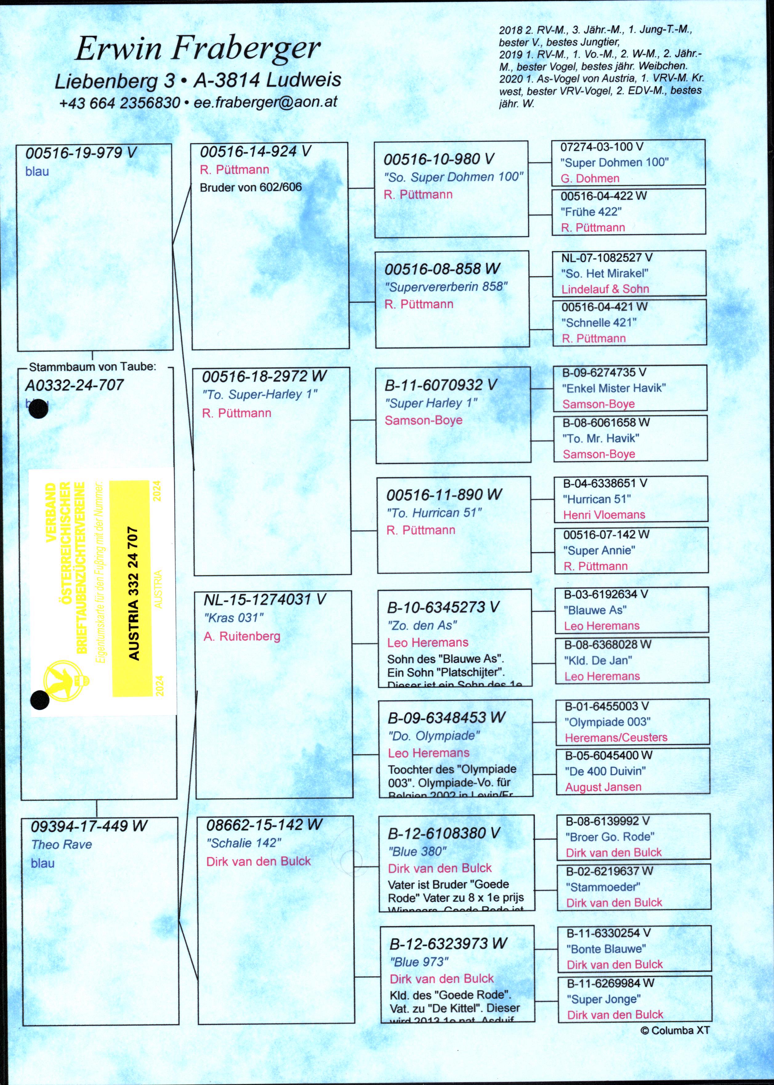 Pigeon pedigree image