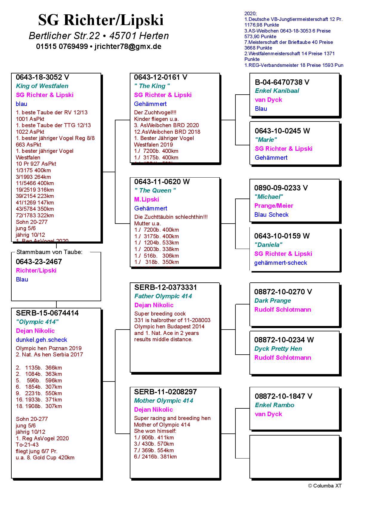 Pigeon pedigree image