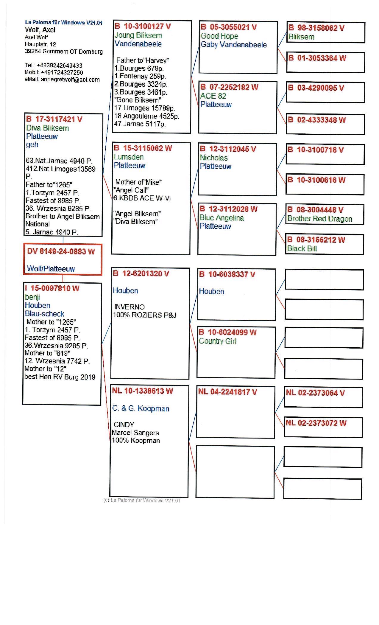 Pigeon pedigree image