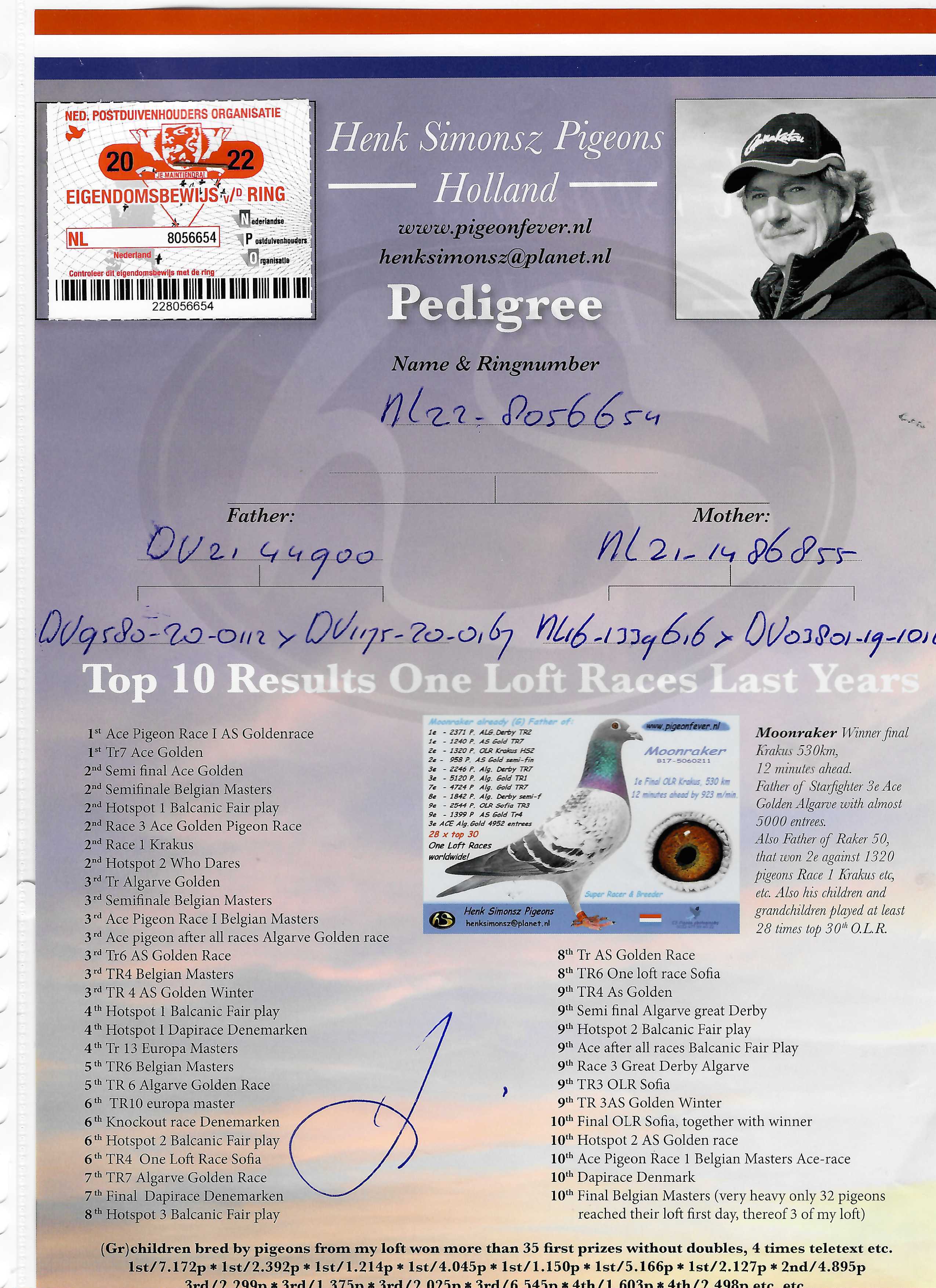 Pigeon pedigree image